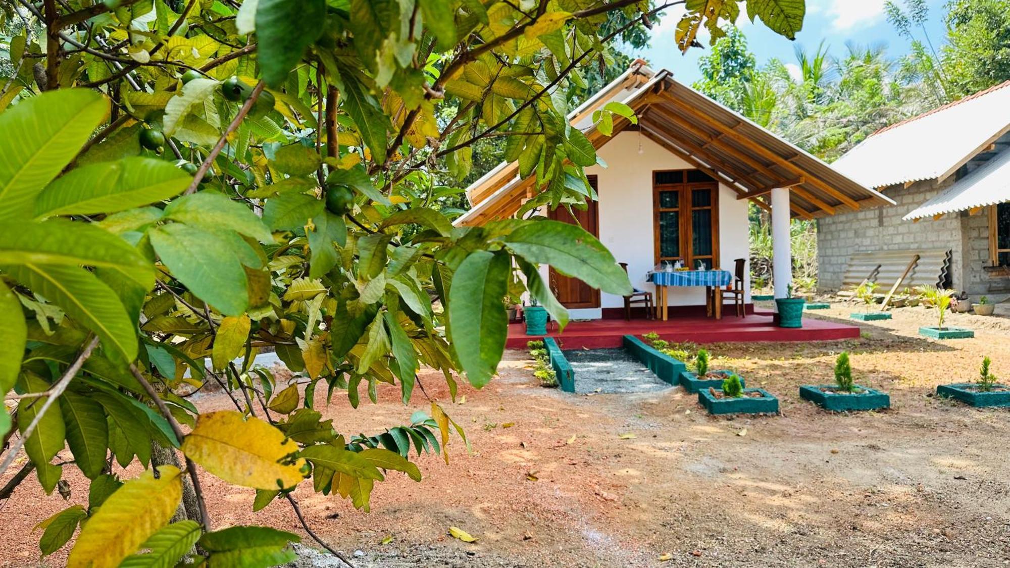 Little Haven * Sigiriya