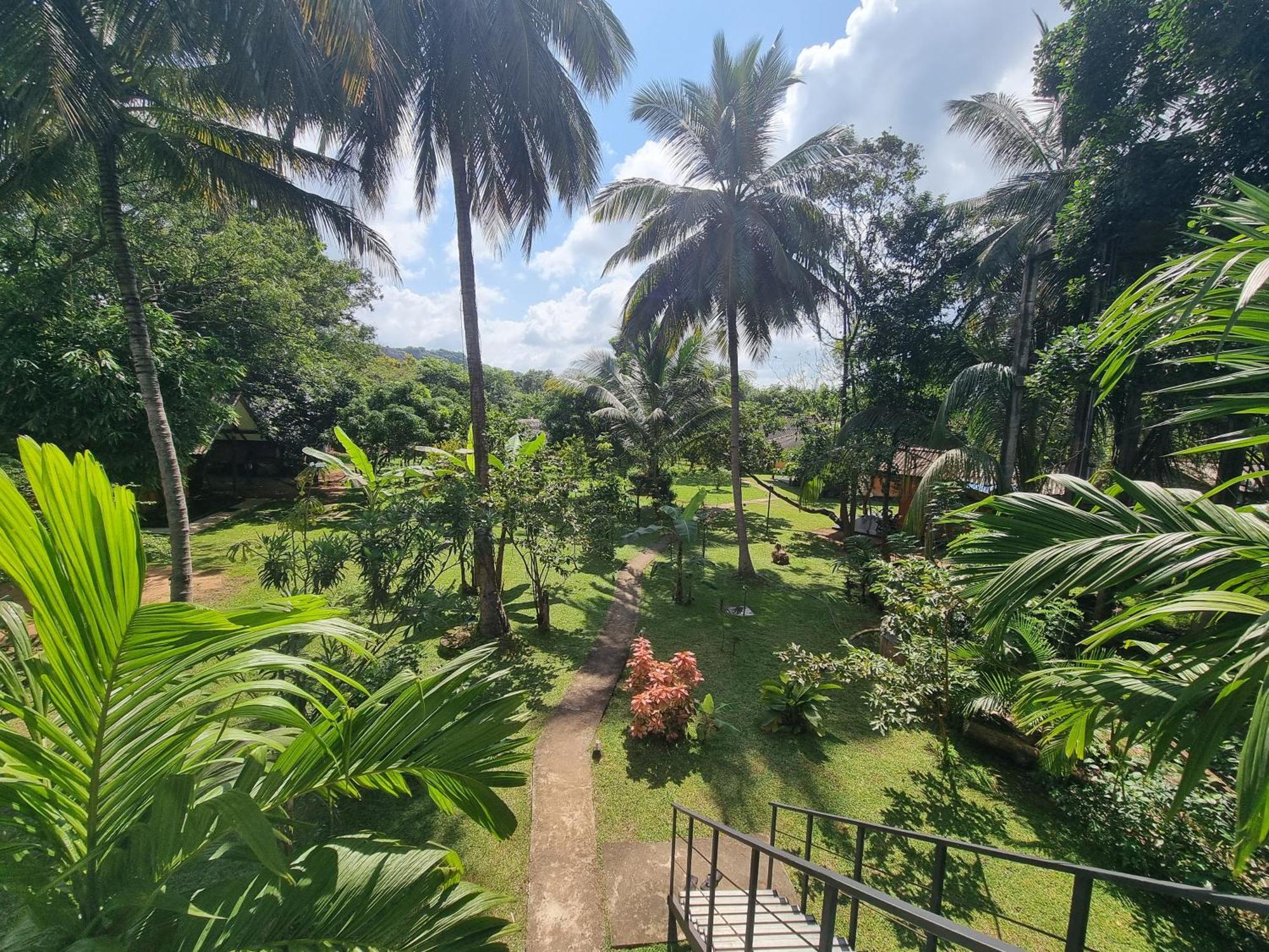 Liyon Rest Guest house