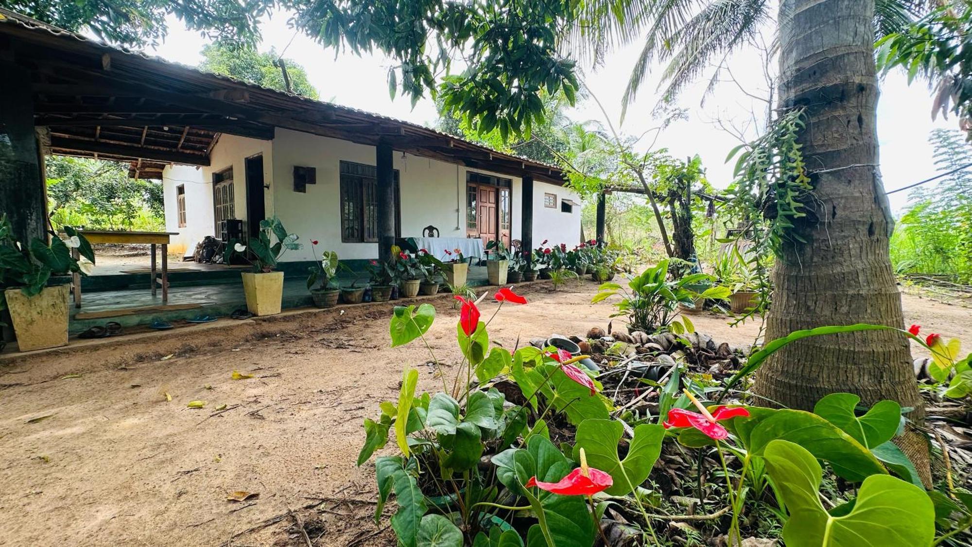 Homestay Paradise Treehouse *