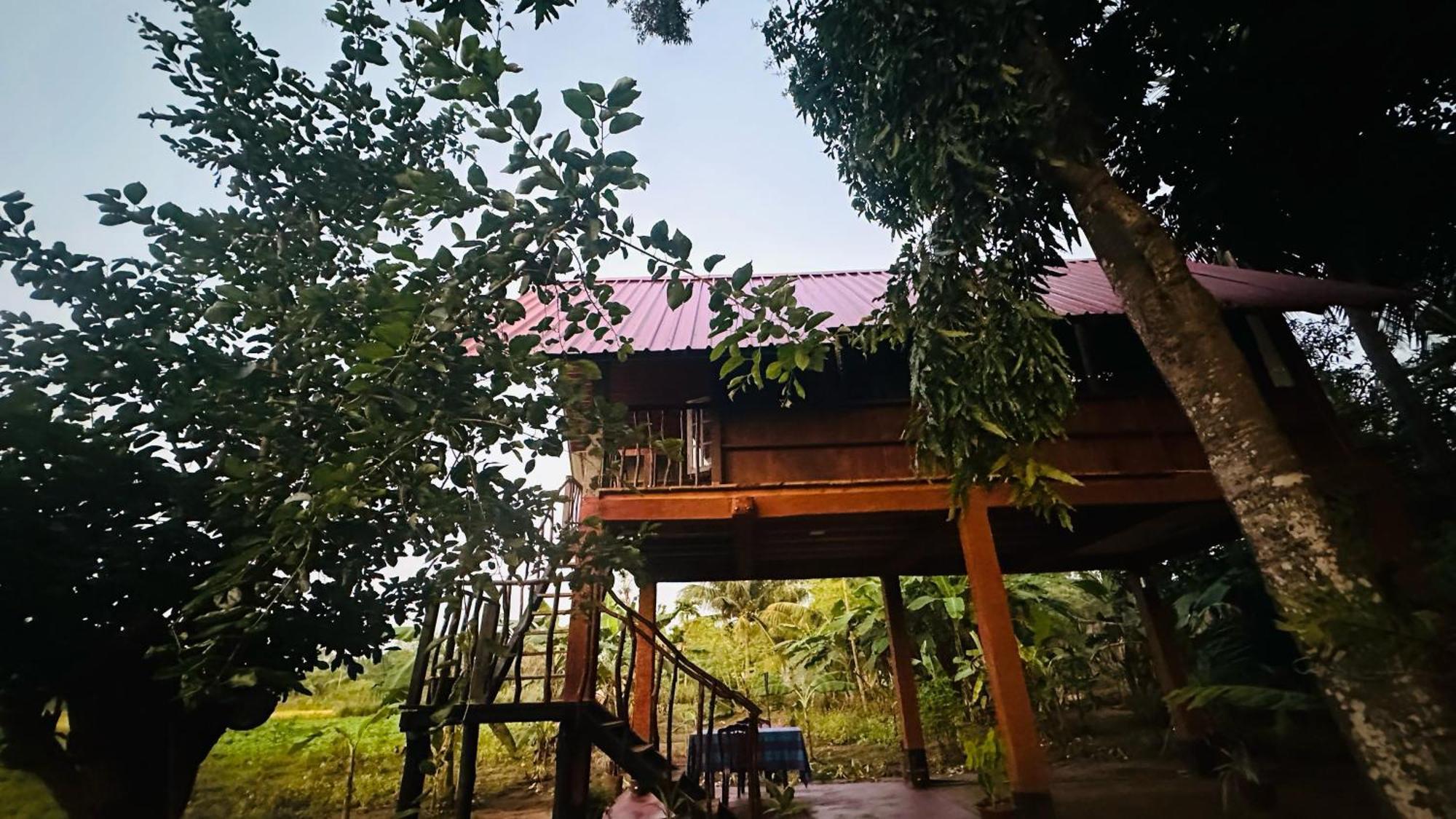The Rock & Wild Sigiriya