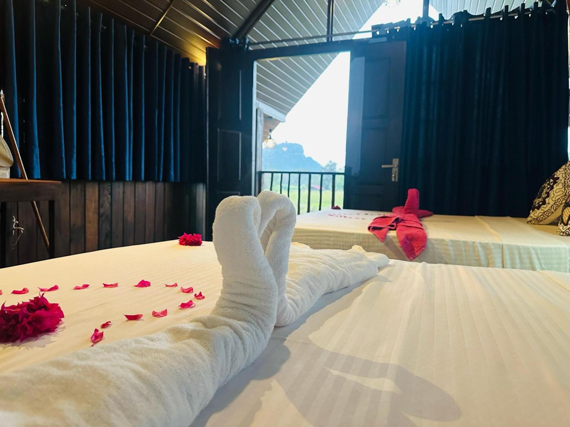 The Rock & Wild Lodge