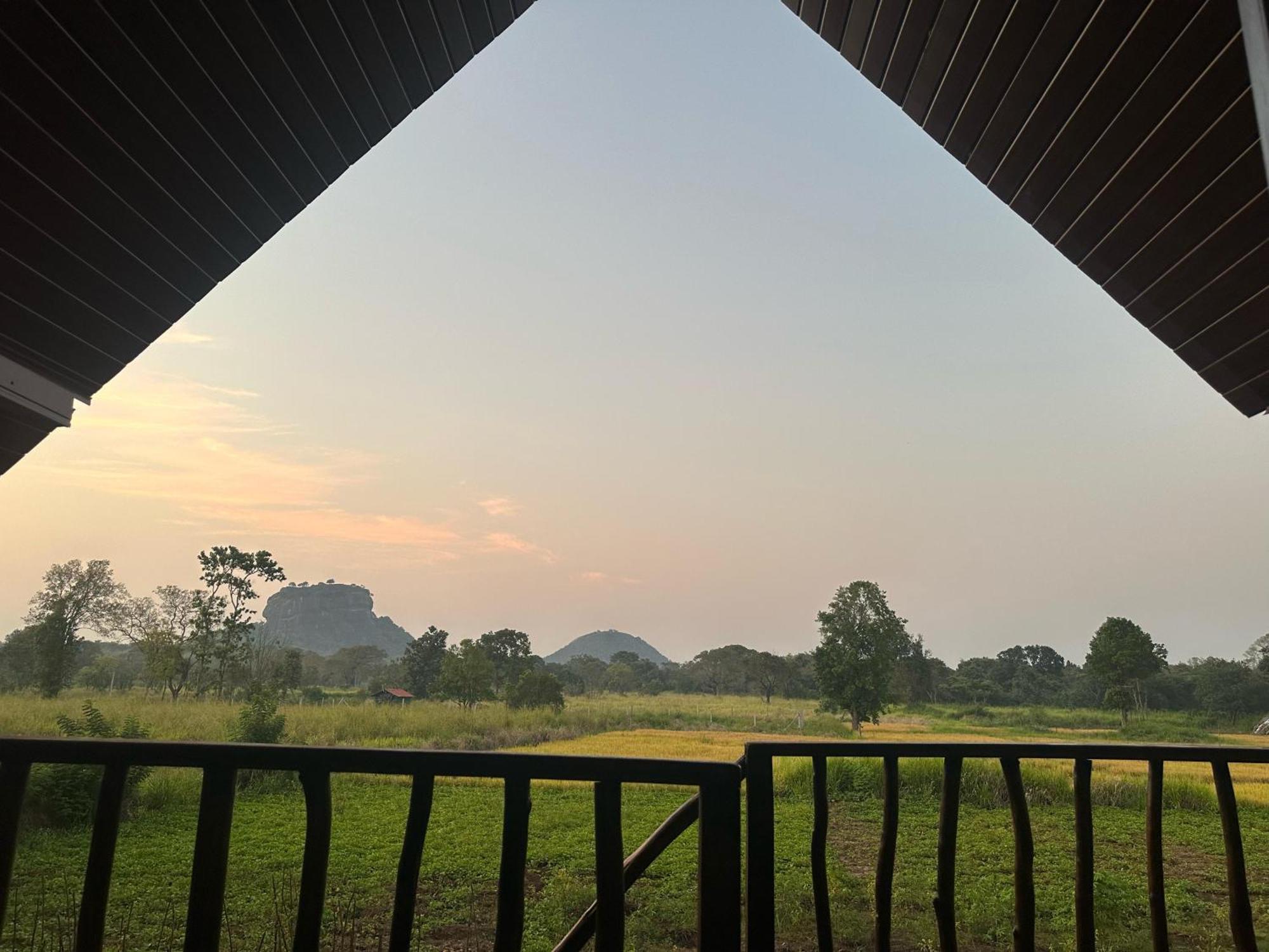 The Rock & Wild Lodge