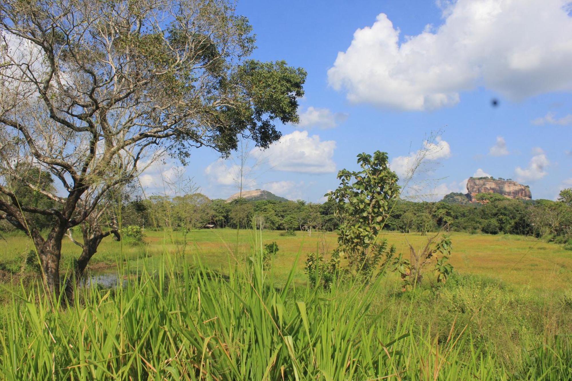 Lodge Ehalagala And Paddy View