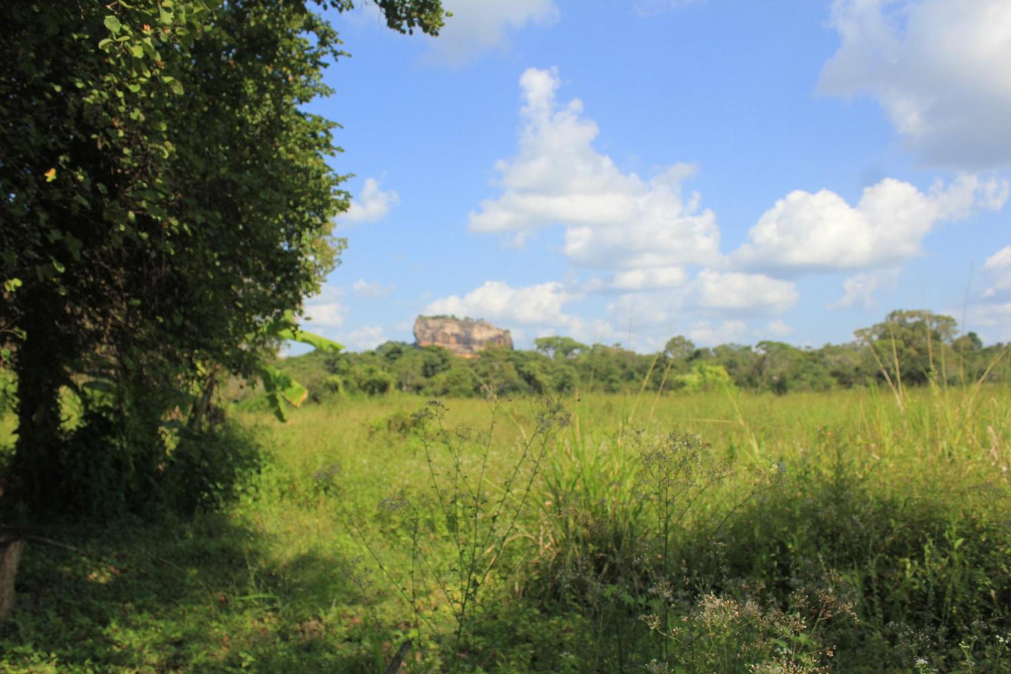 Ehalagala And Paddy View Lodge Sigiriya