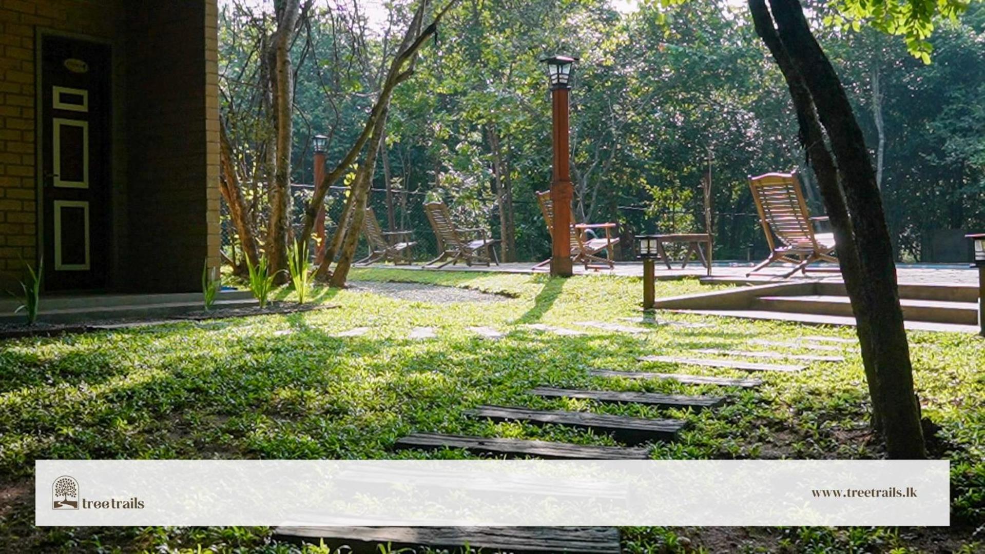 Tree Trails Sigiriya