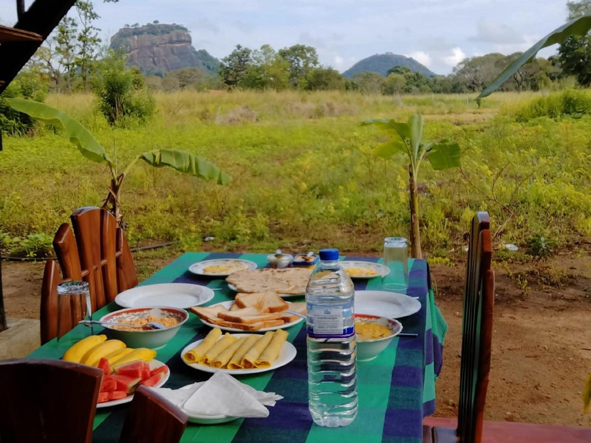 The Rock & Wild Lodge *