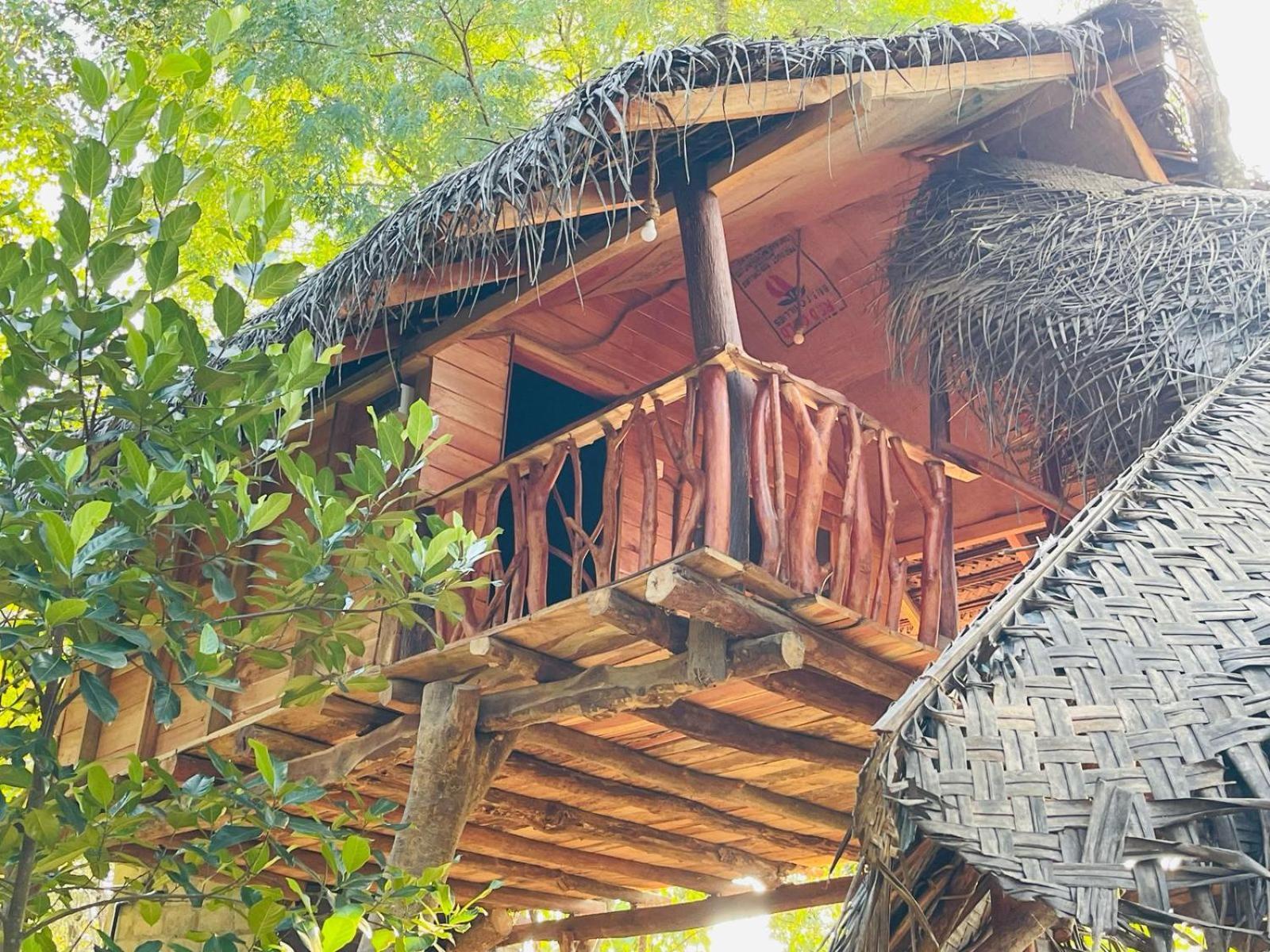 Land Tree House * Sigiriya