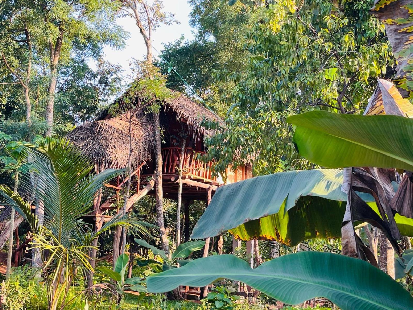 Lodge Land Tree House *