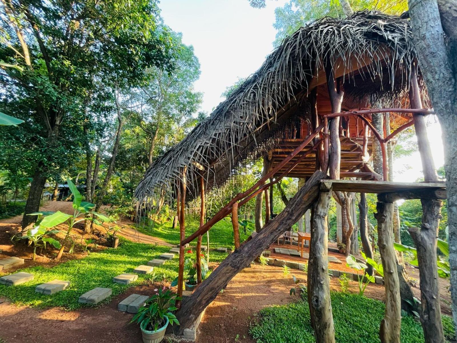 Land Tree House Lodge Sigiriya
