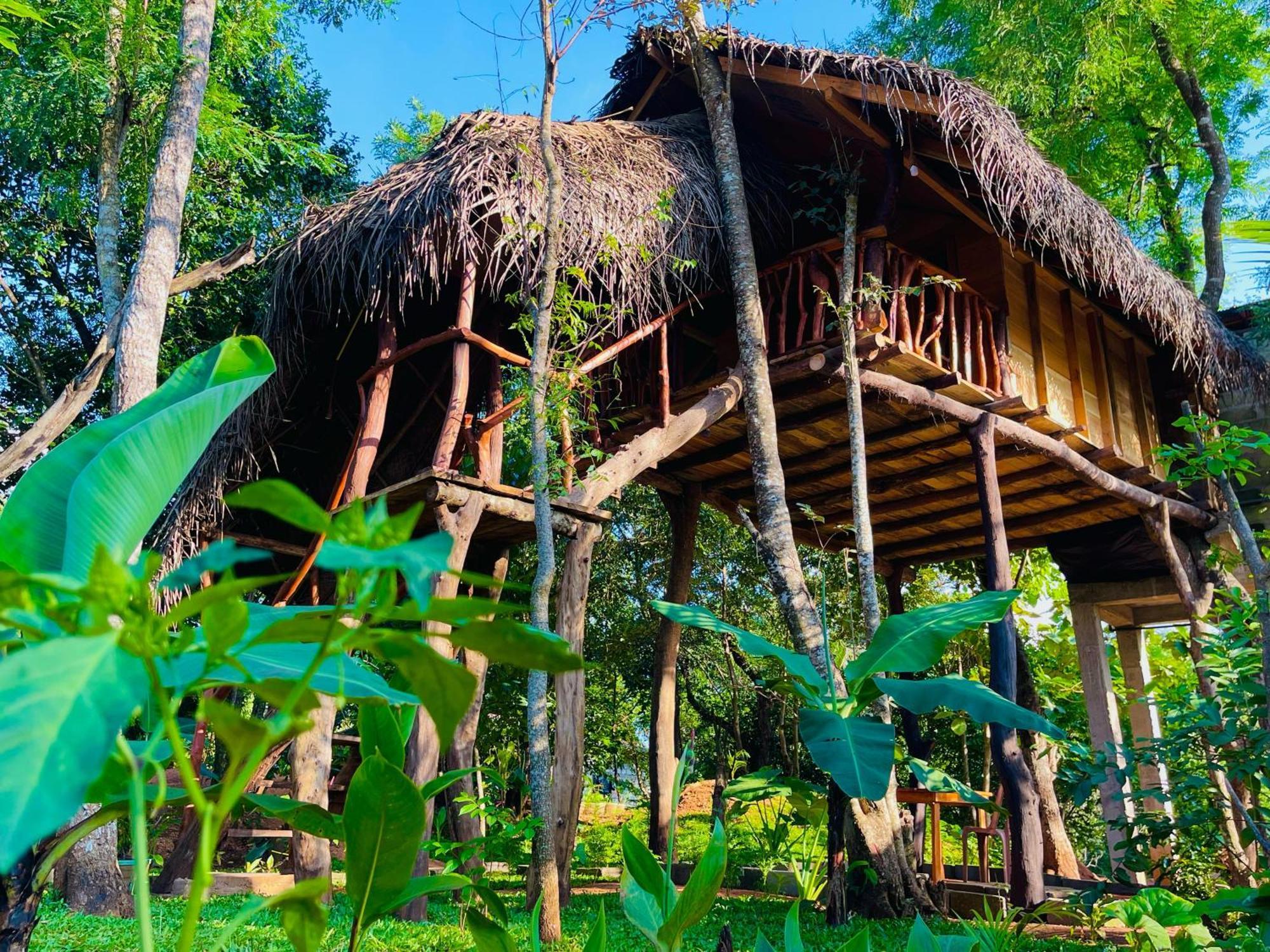 Lodge Land Tree House Sigiriya
