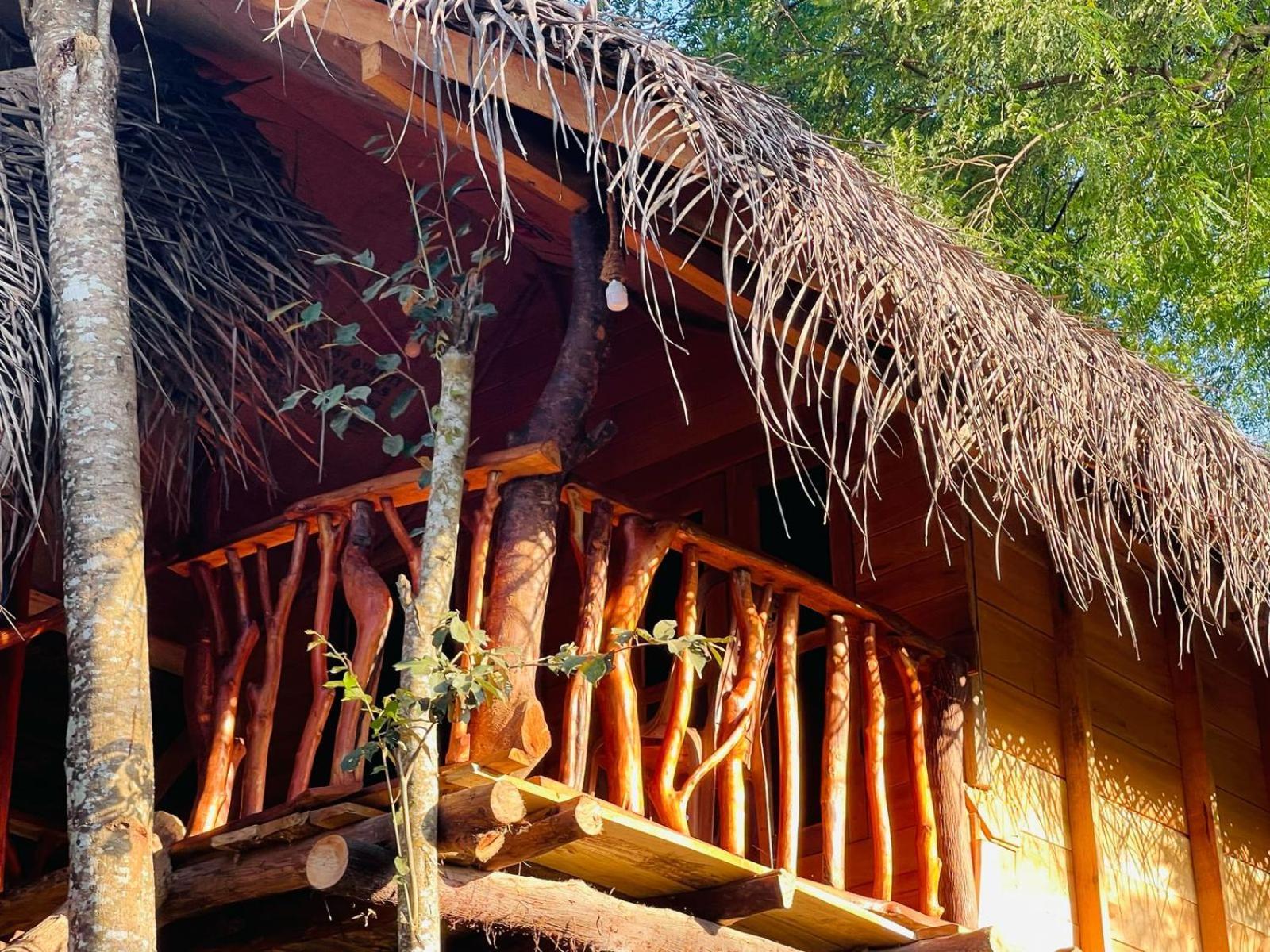 Land Tree House *
