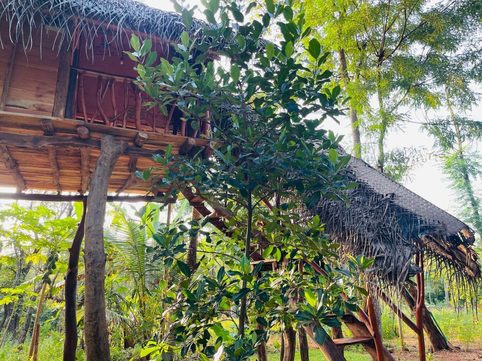 Land Tree House Lodge