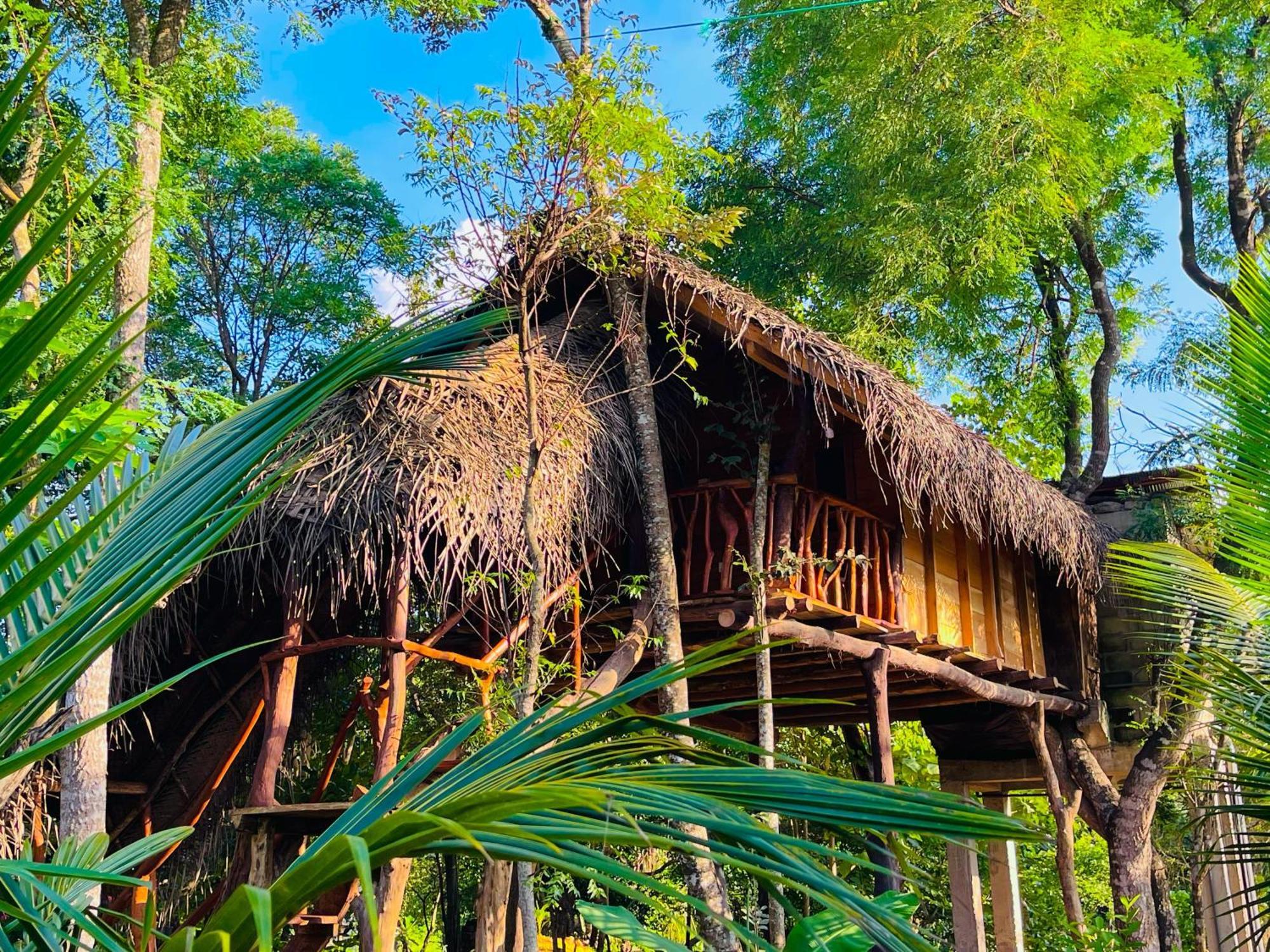 Lodge Land Tree House Sigiriya
