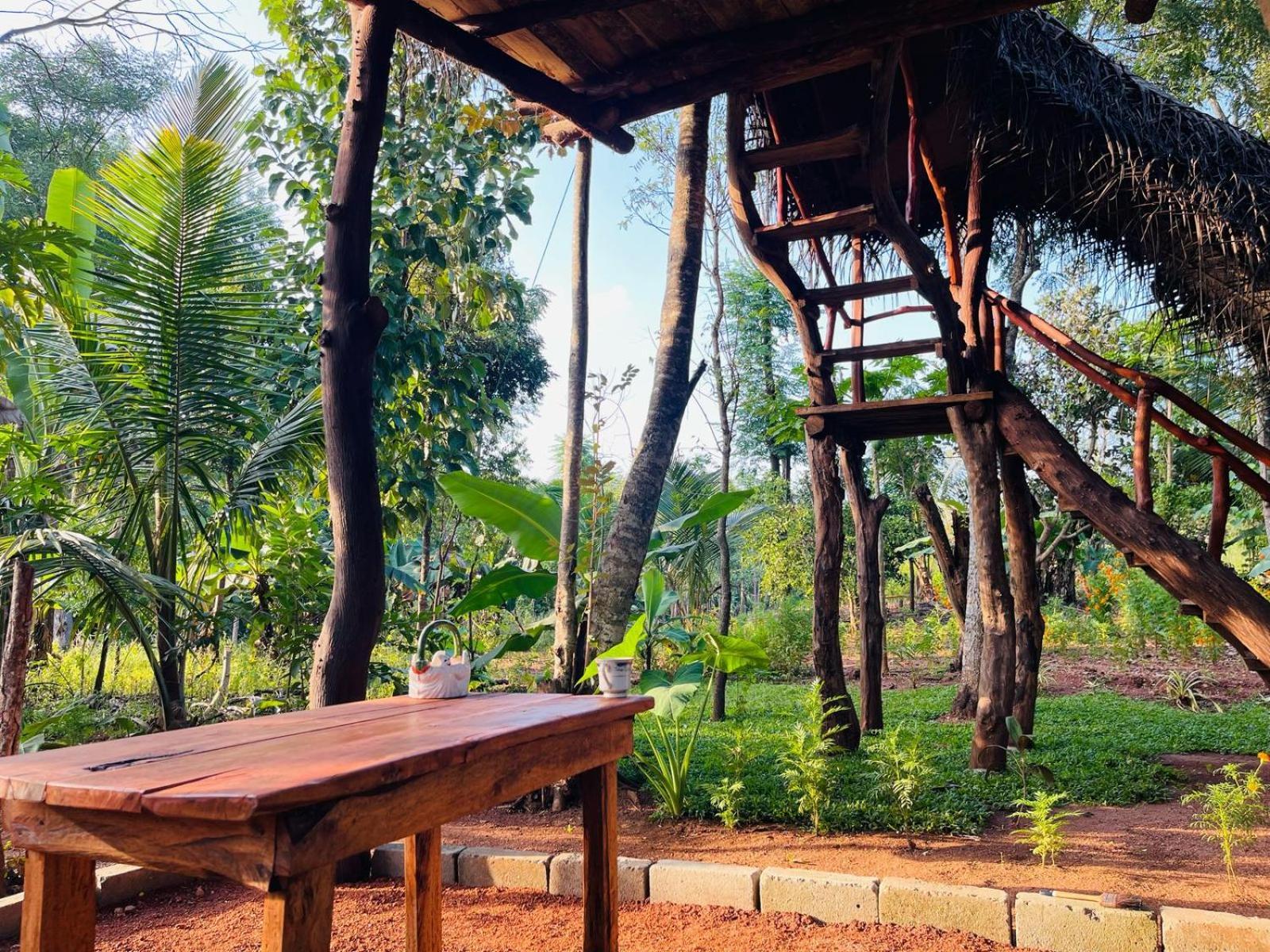 Lodge Land Tree House