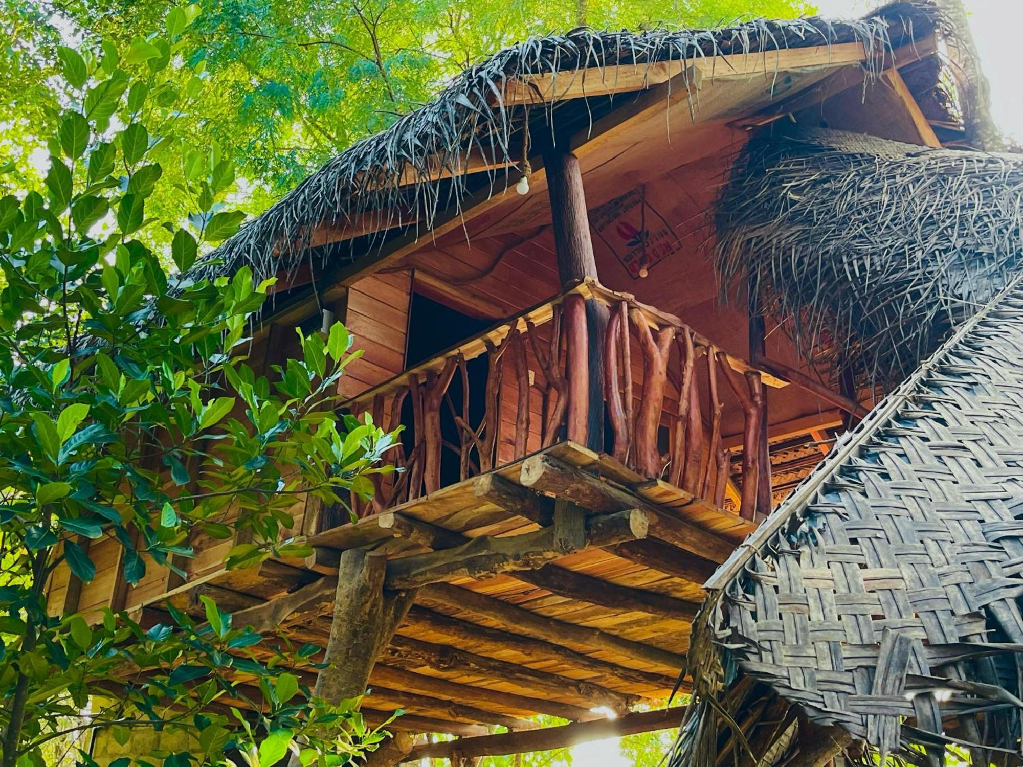 Lodge Land Tree House