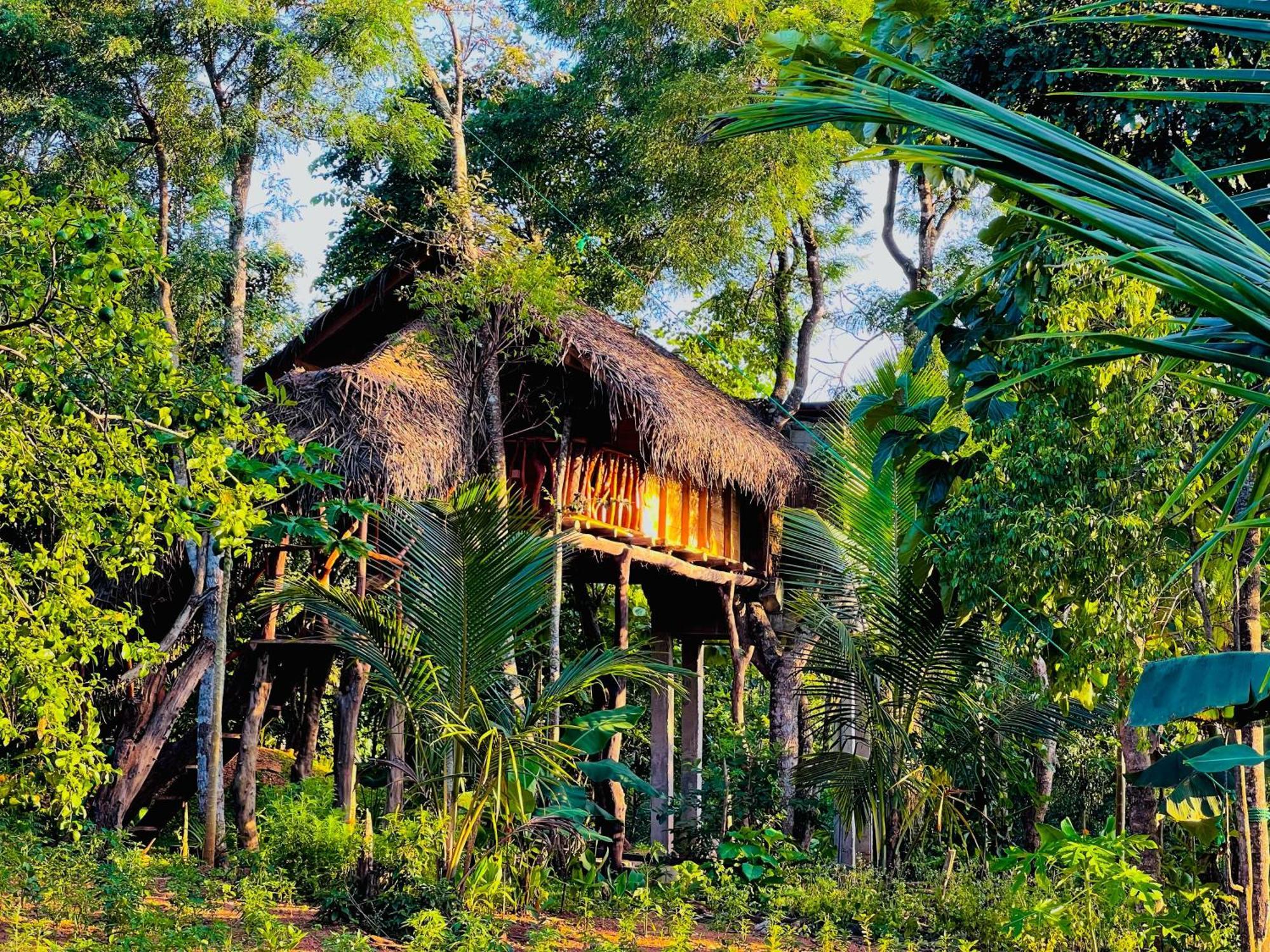 Land Tree House Lodge *
