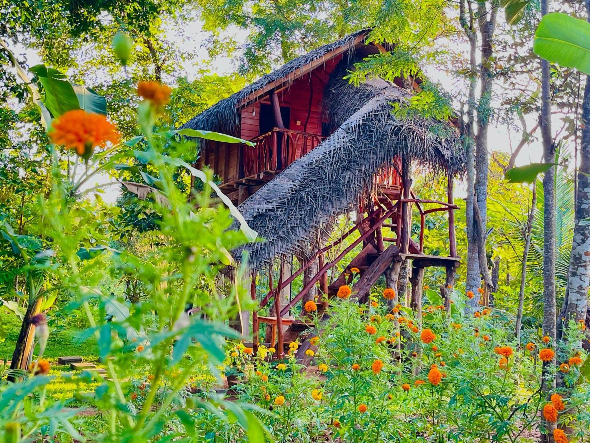 Land Tree House *