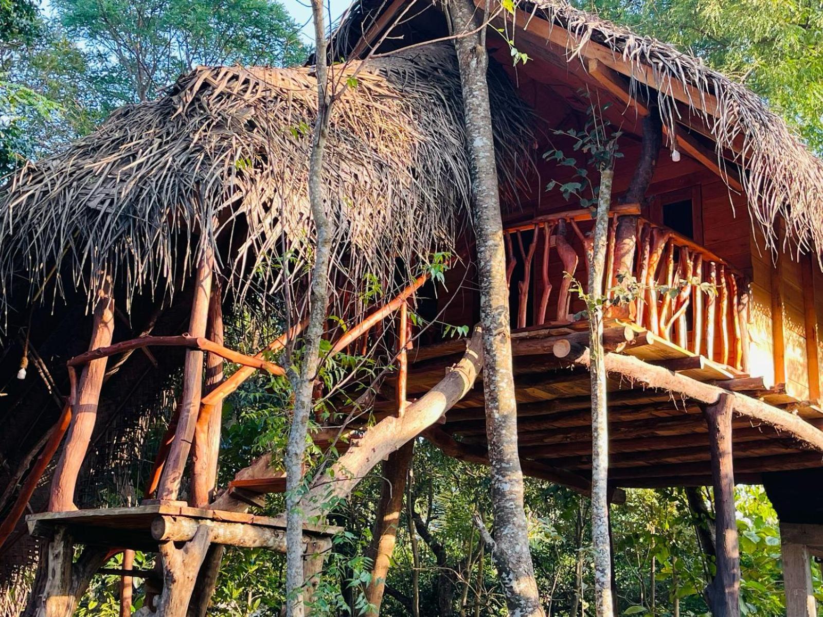 Land Tree House