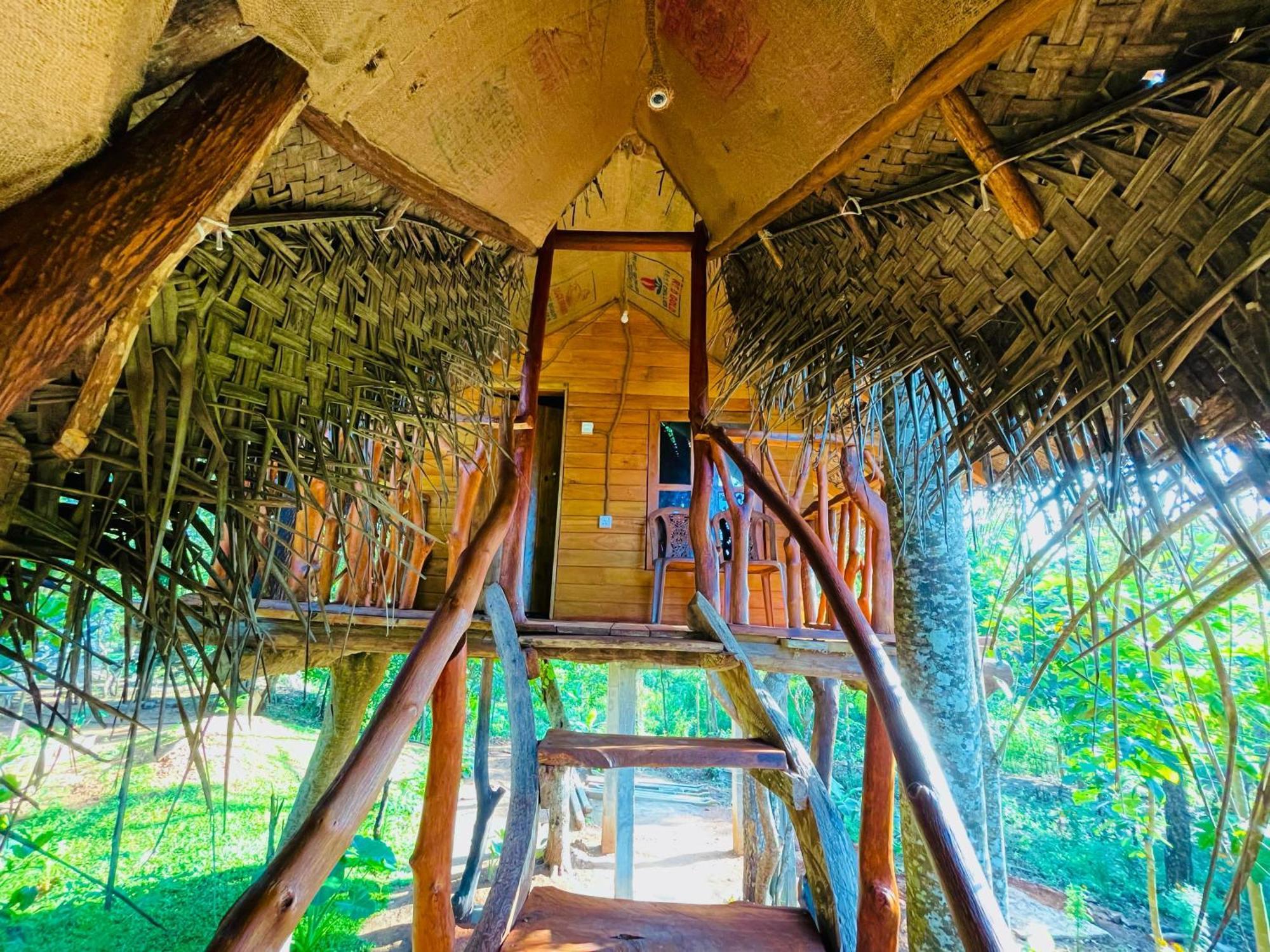 Land Tree House Lodge