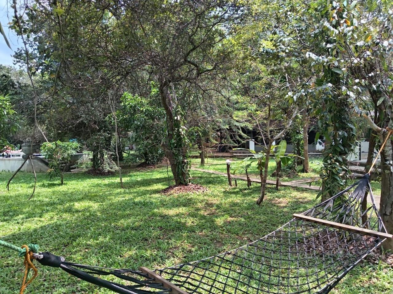 Hotel New Sigiri Kele Sigiriya