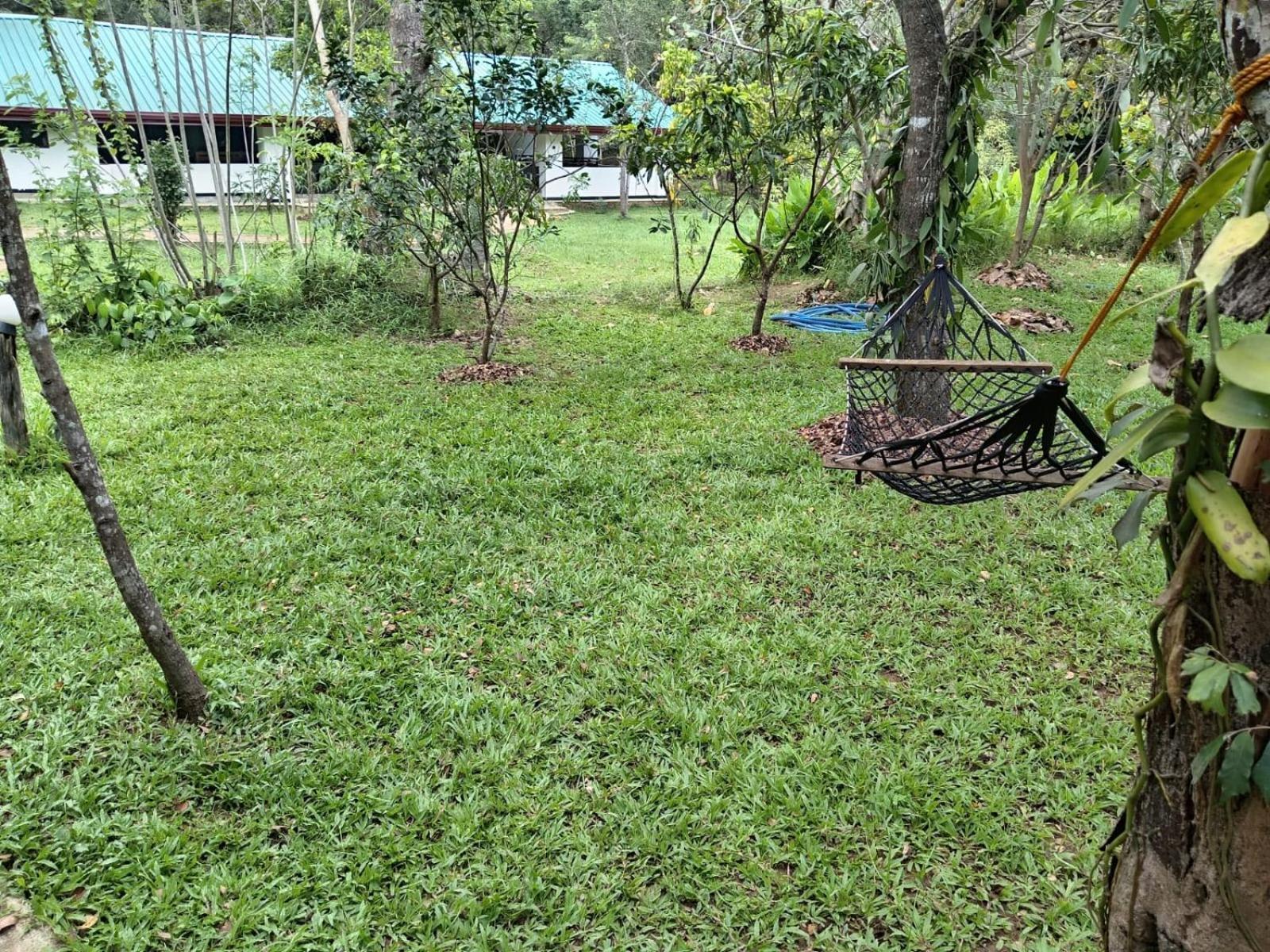 New Sigiri Kele Hotel 4*