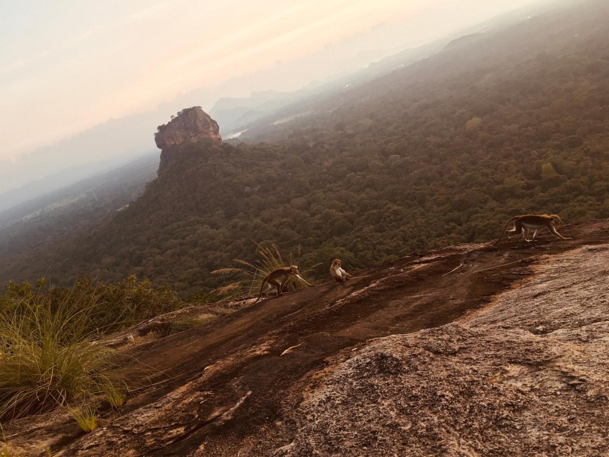 Kele Sigiriya