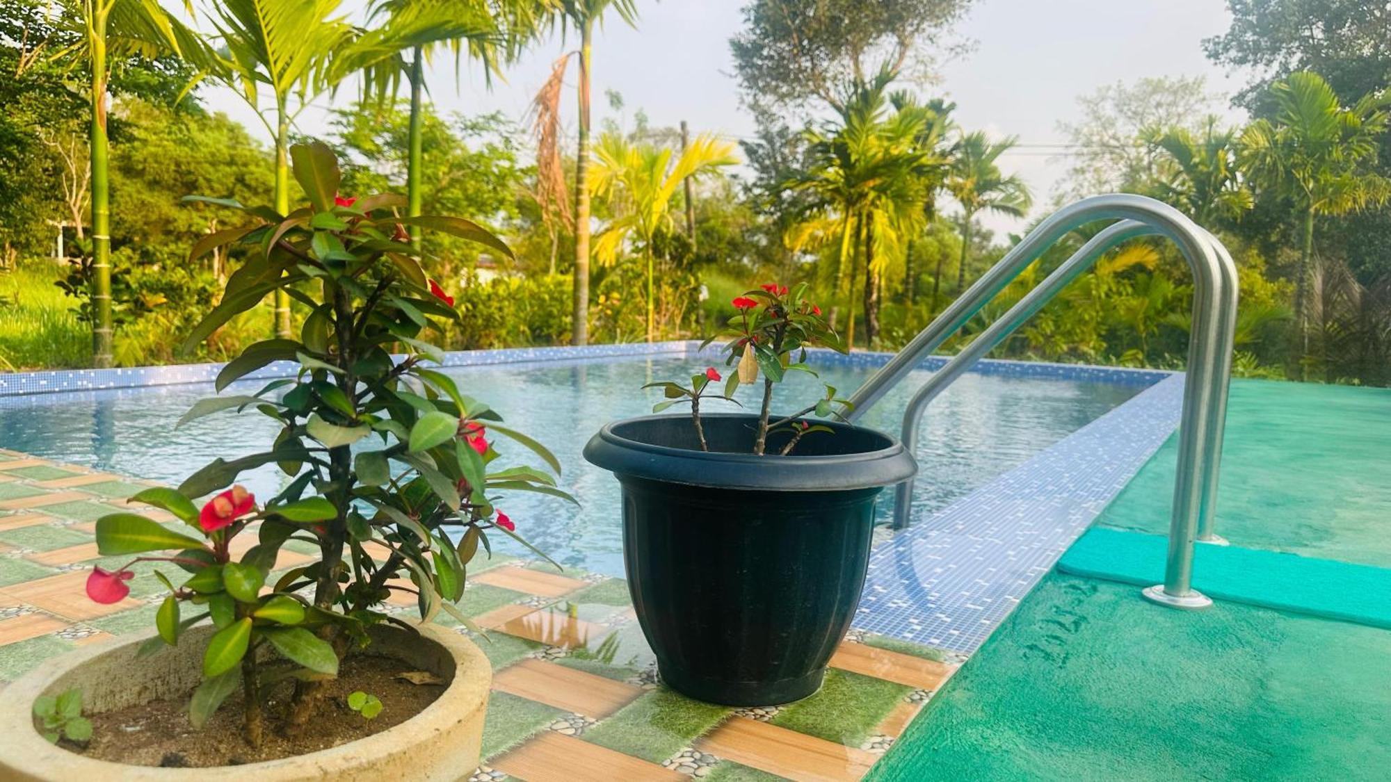 Homestay Dew Ashi