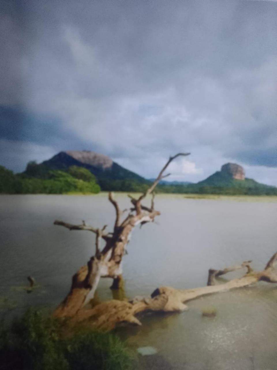 Lodge Ehalagala And Paddy View
