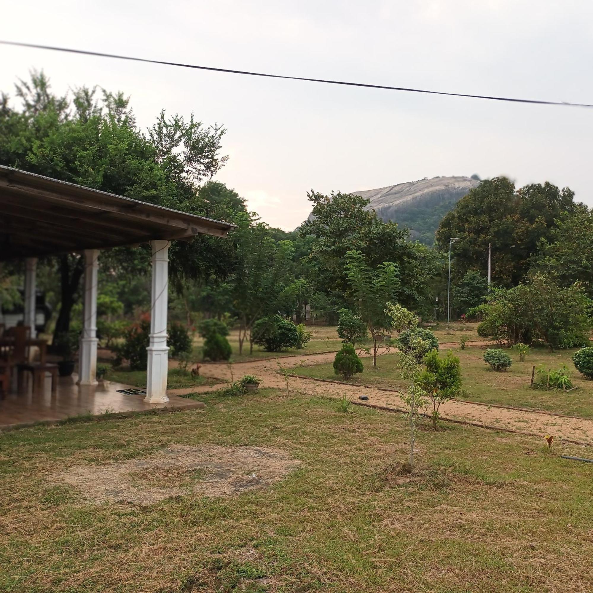 Sigiri Arana Guest house