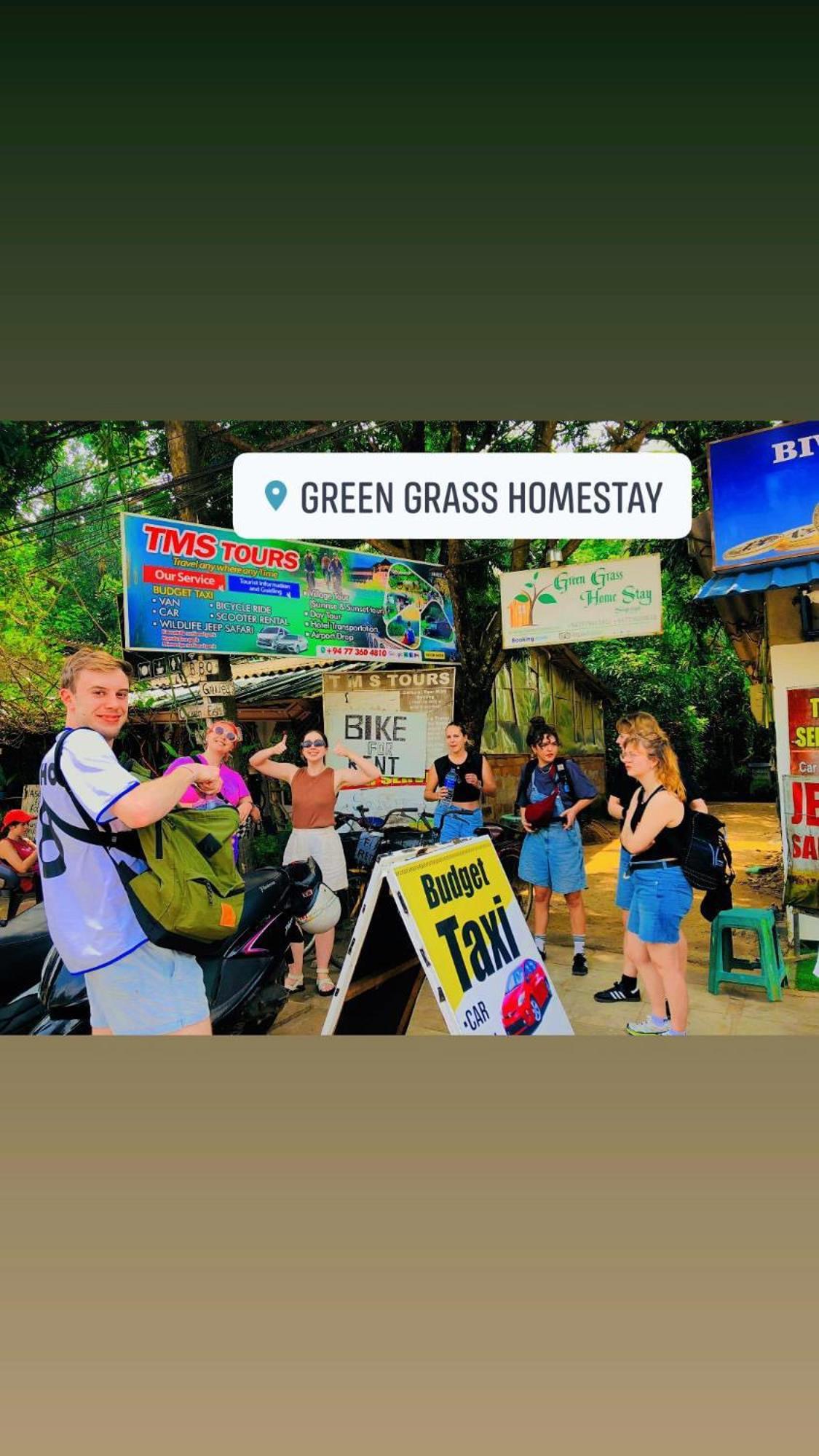 Grass Homestay