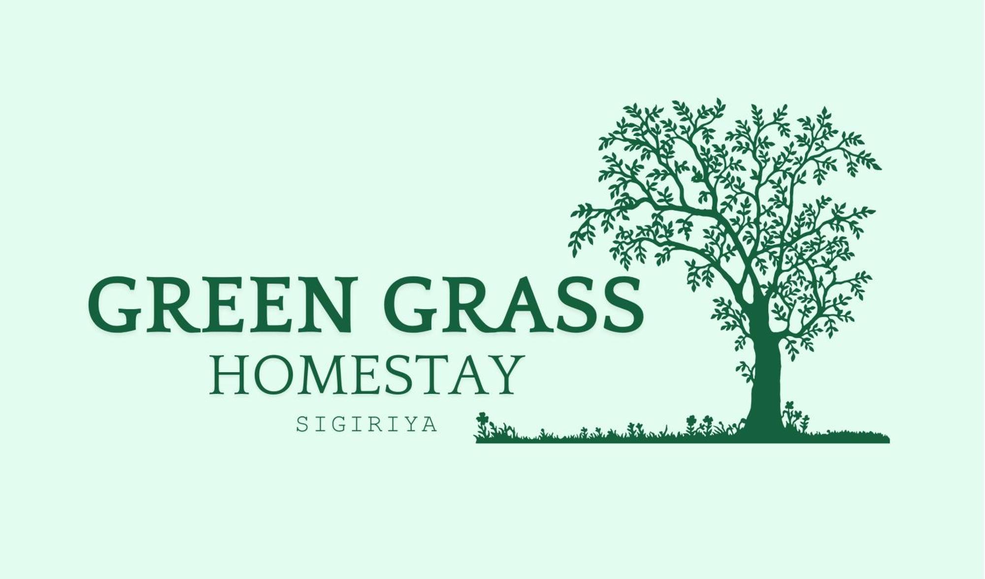 Homestay Grass