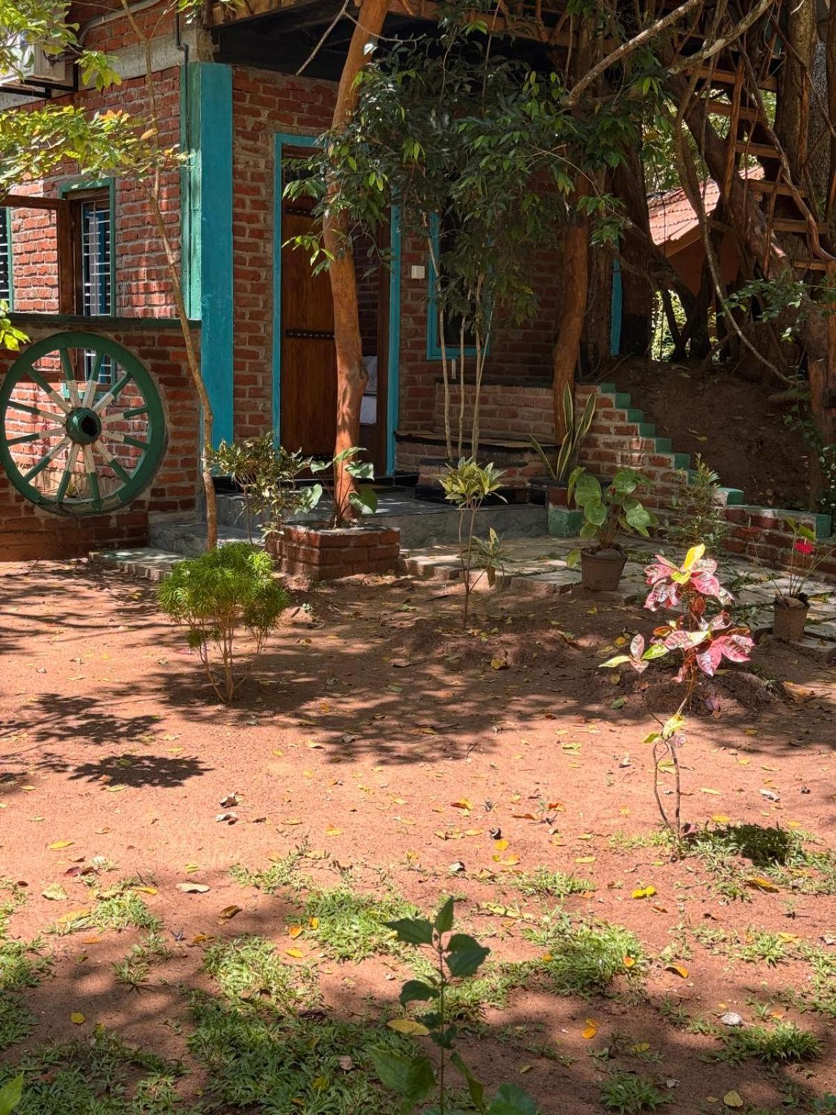 Lodge Ali Adi Eco *