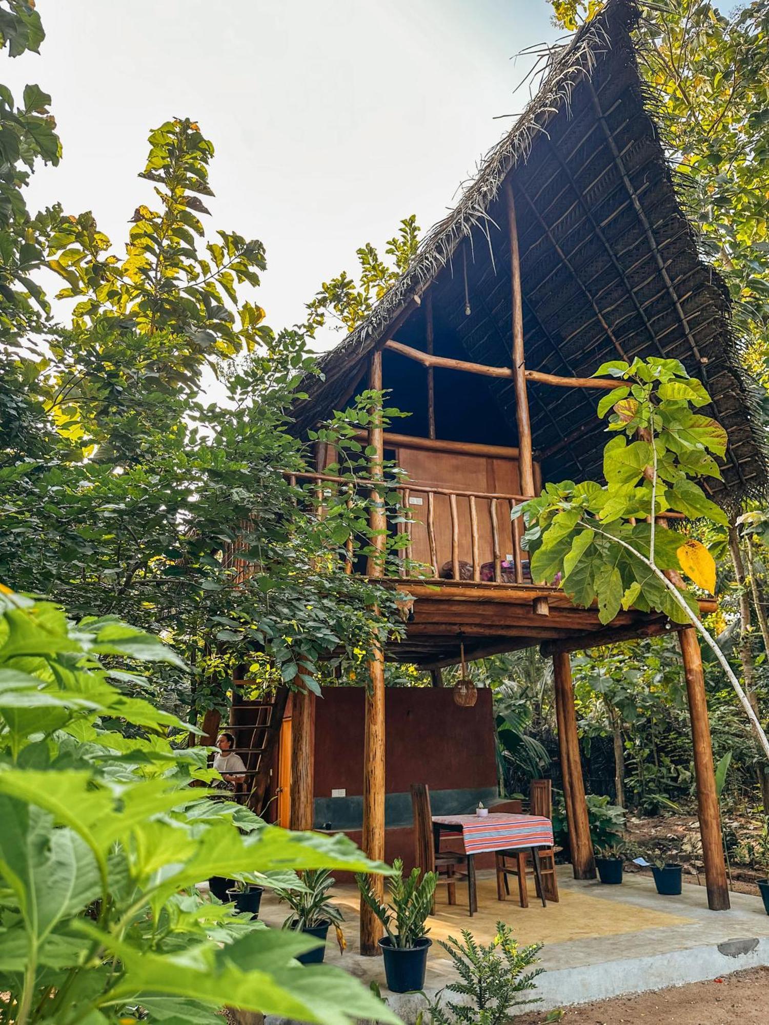 Pidurangala View Treehouse Homestay Sigiriya