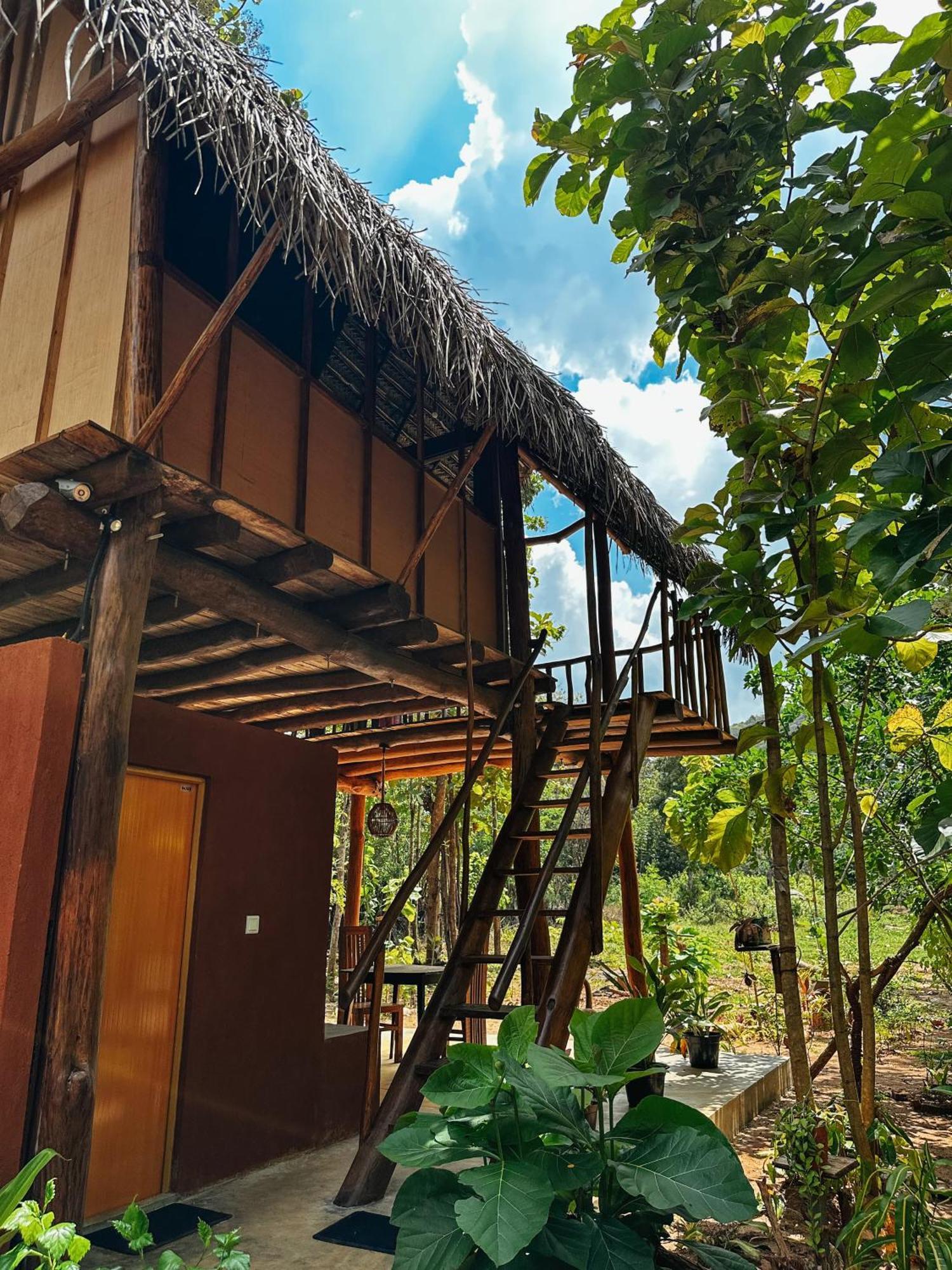 Homestay Pidurangala View Treehouse