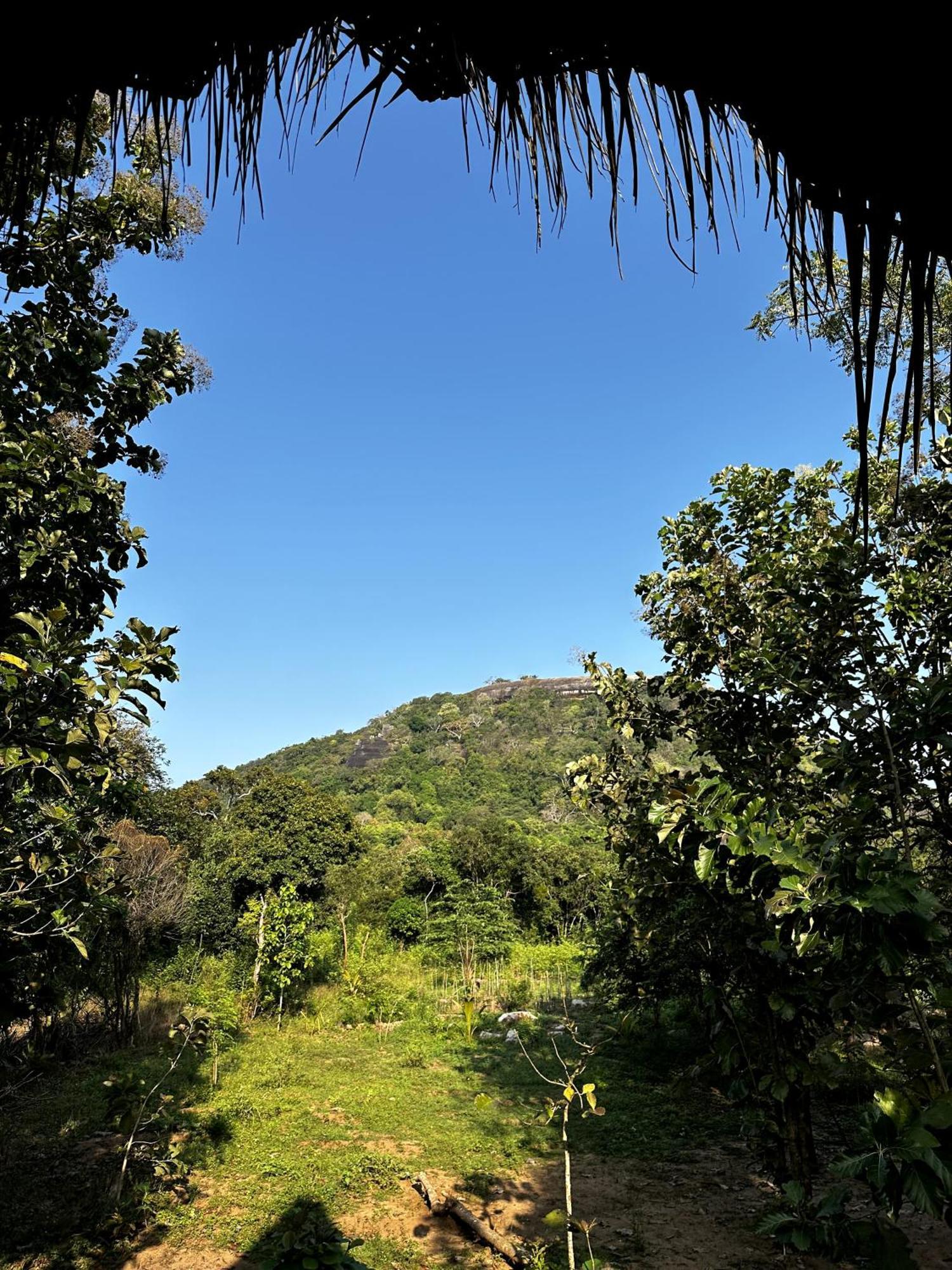 Pidurangala View Treehouse Sigiriya