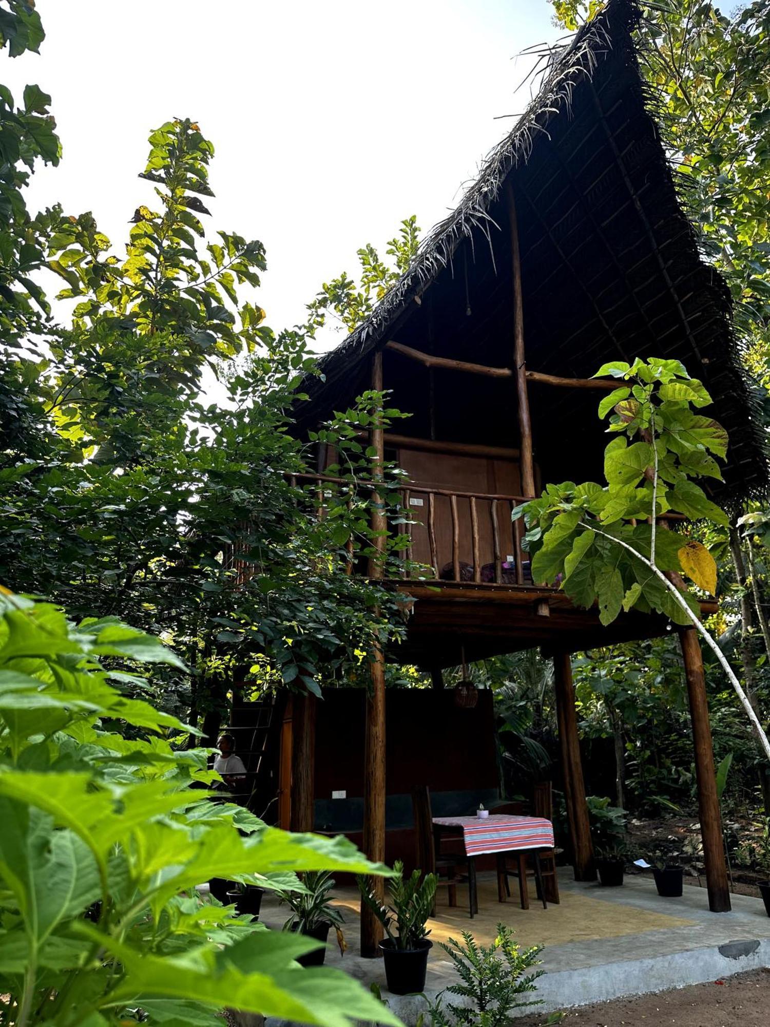Homestay Pidurangala View Treehouse *