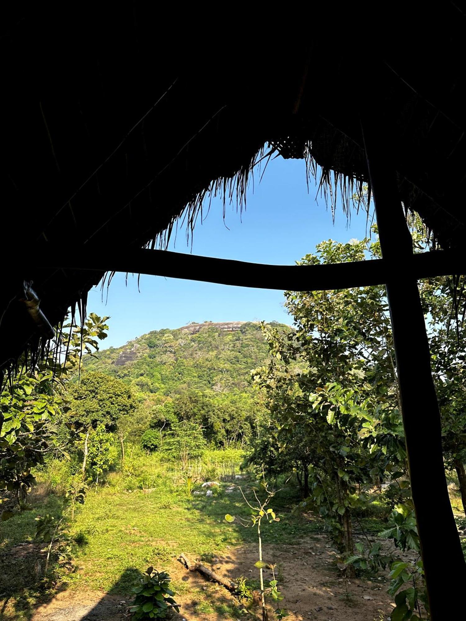 Pidurangala View Treehouse