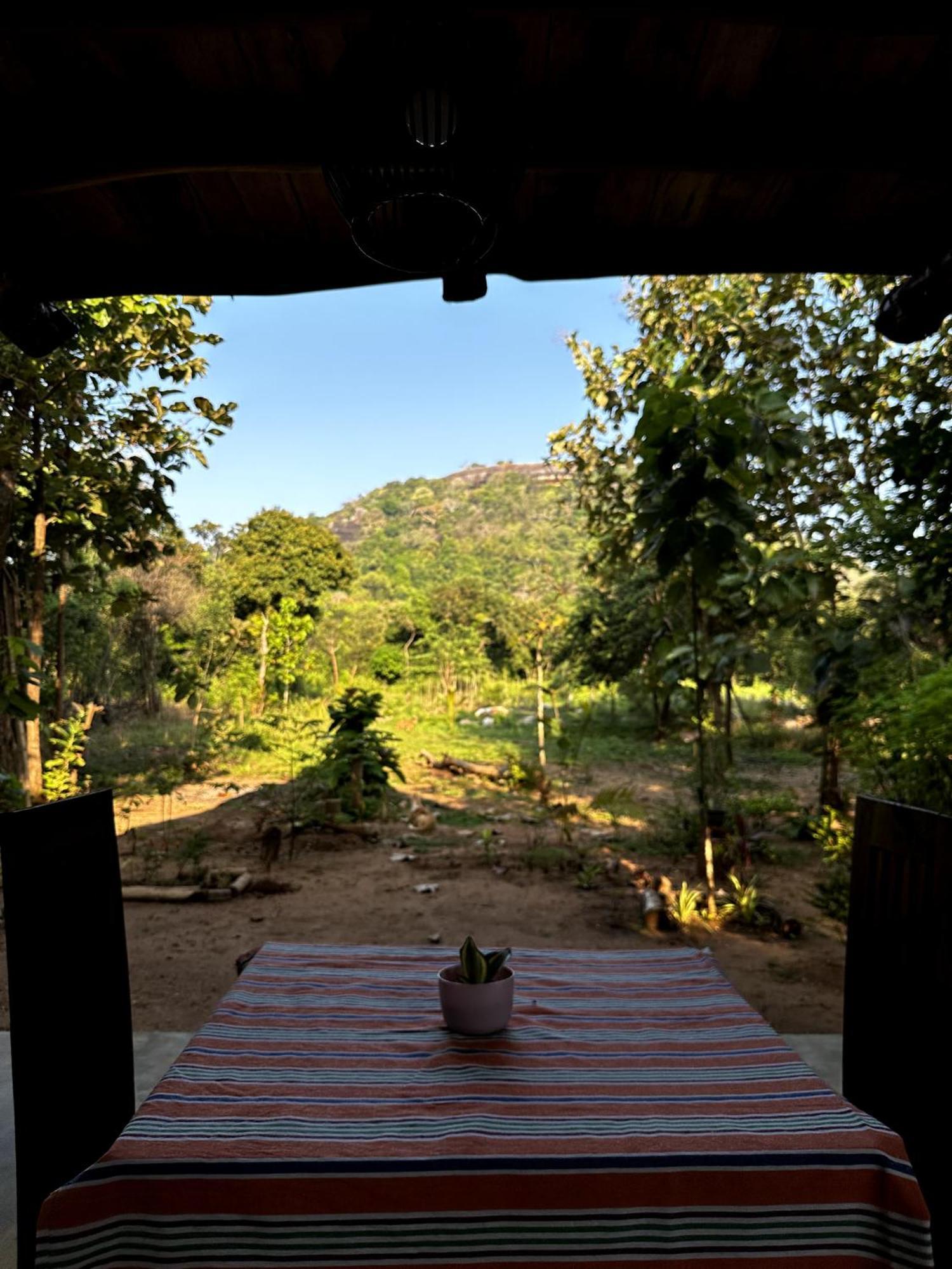 Homestay Pidurangala View Treehouse