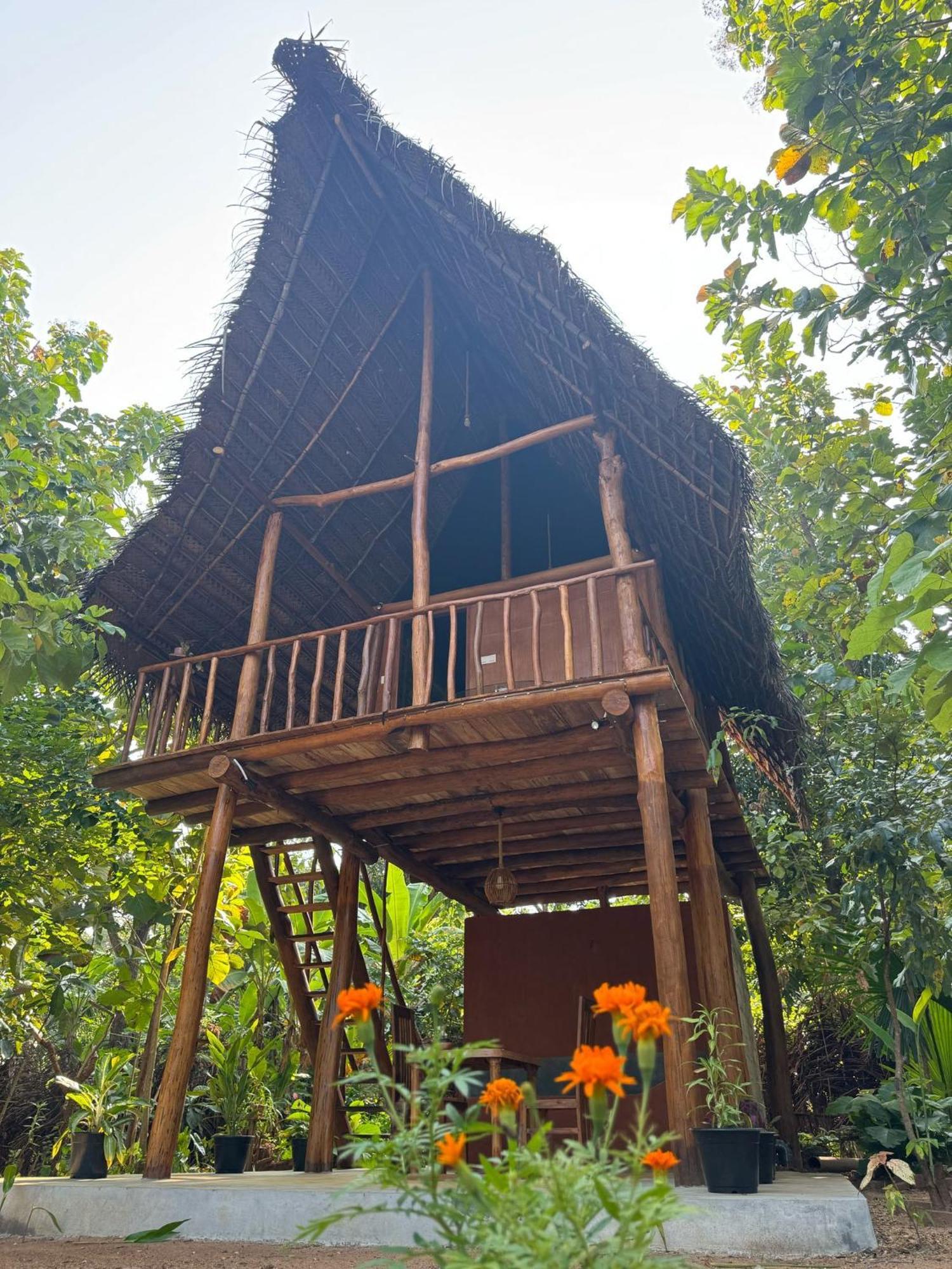 Pidurangala View Treehouse * Sigiriya