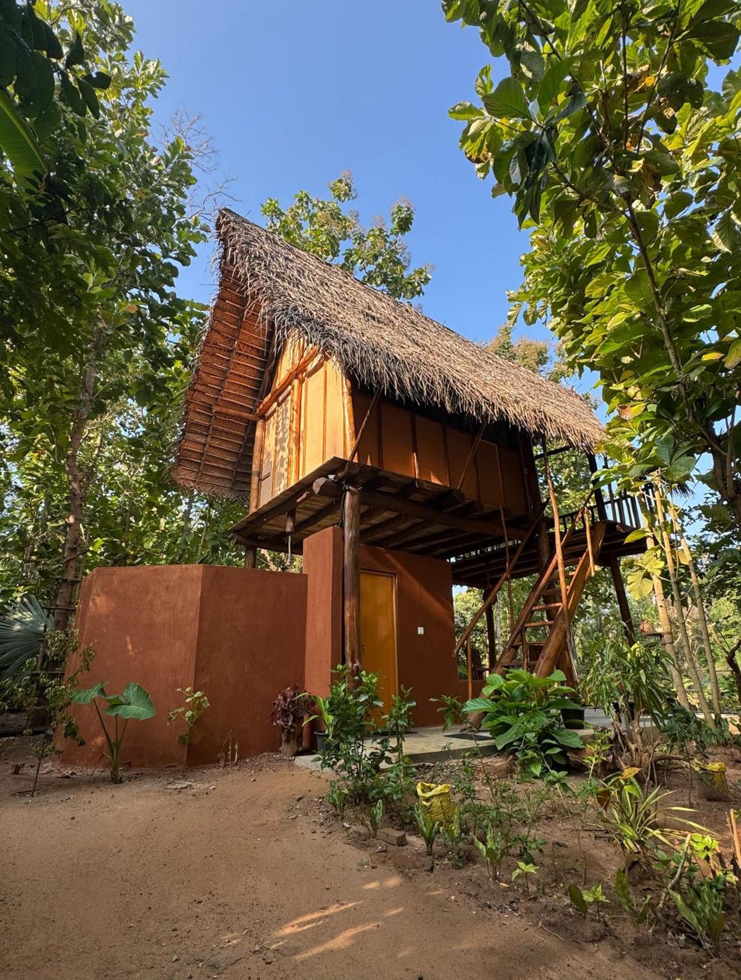 Pidurangala View Treehouse Homestay