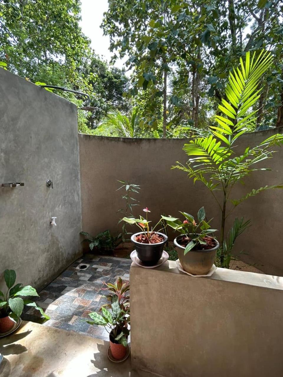 Homestay Pidurangala View Treehouse