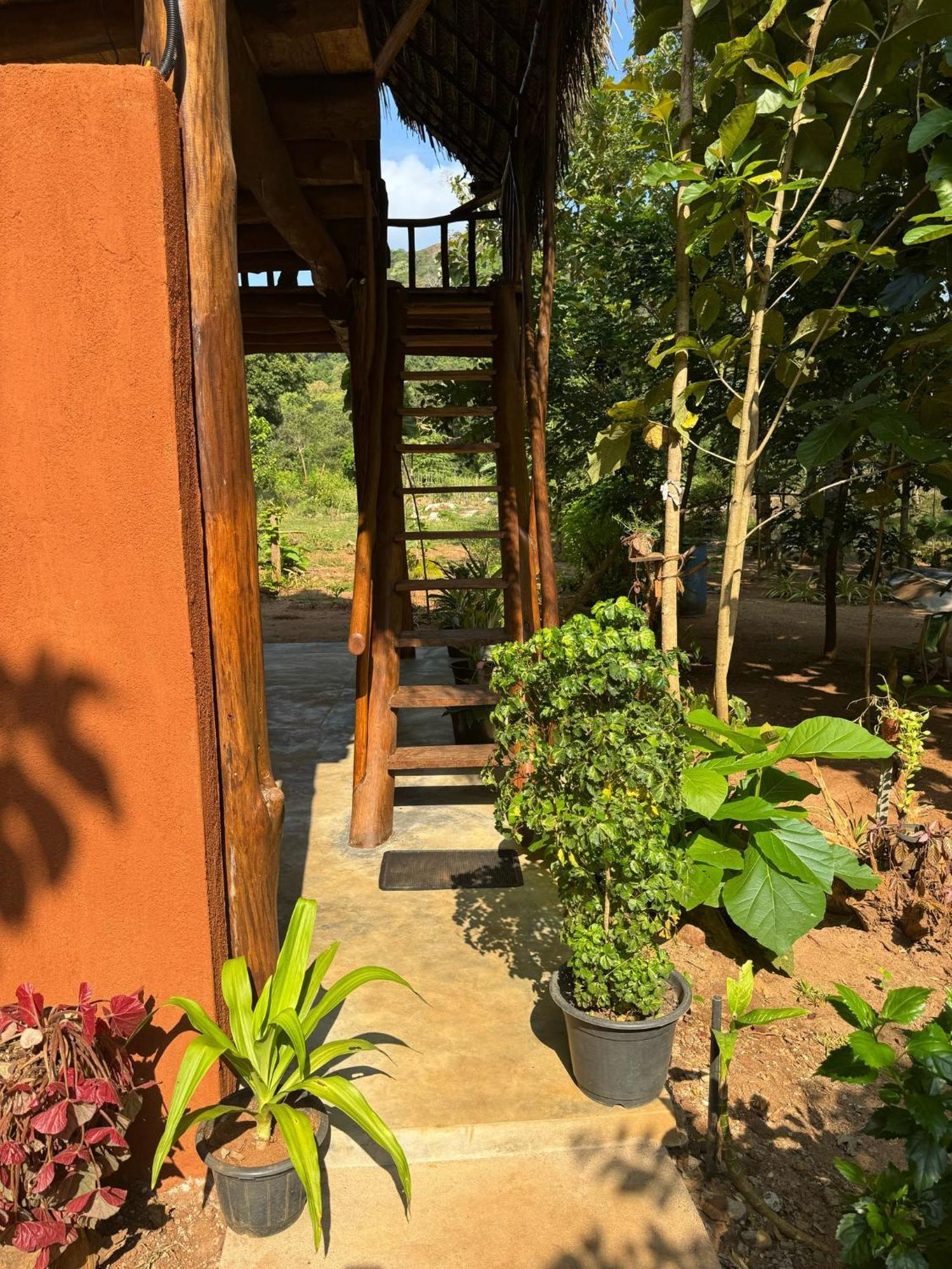 Homestay Pidurangala View Treehouse *