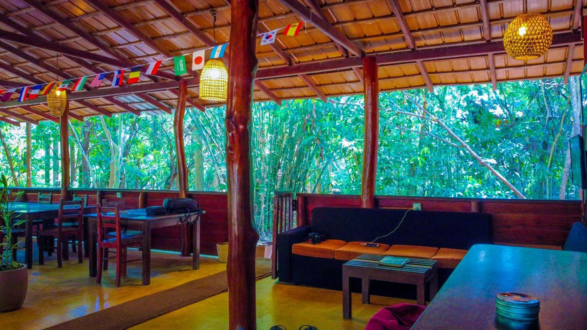 Jungle Host And Tree House
