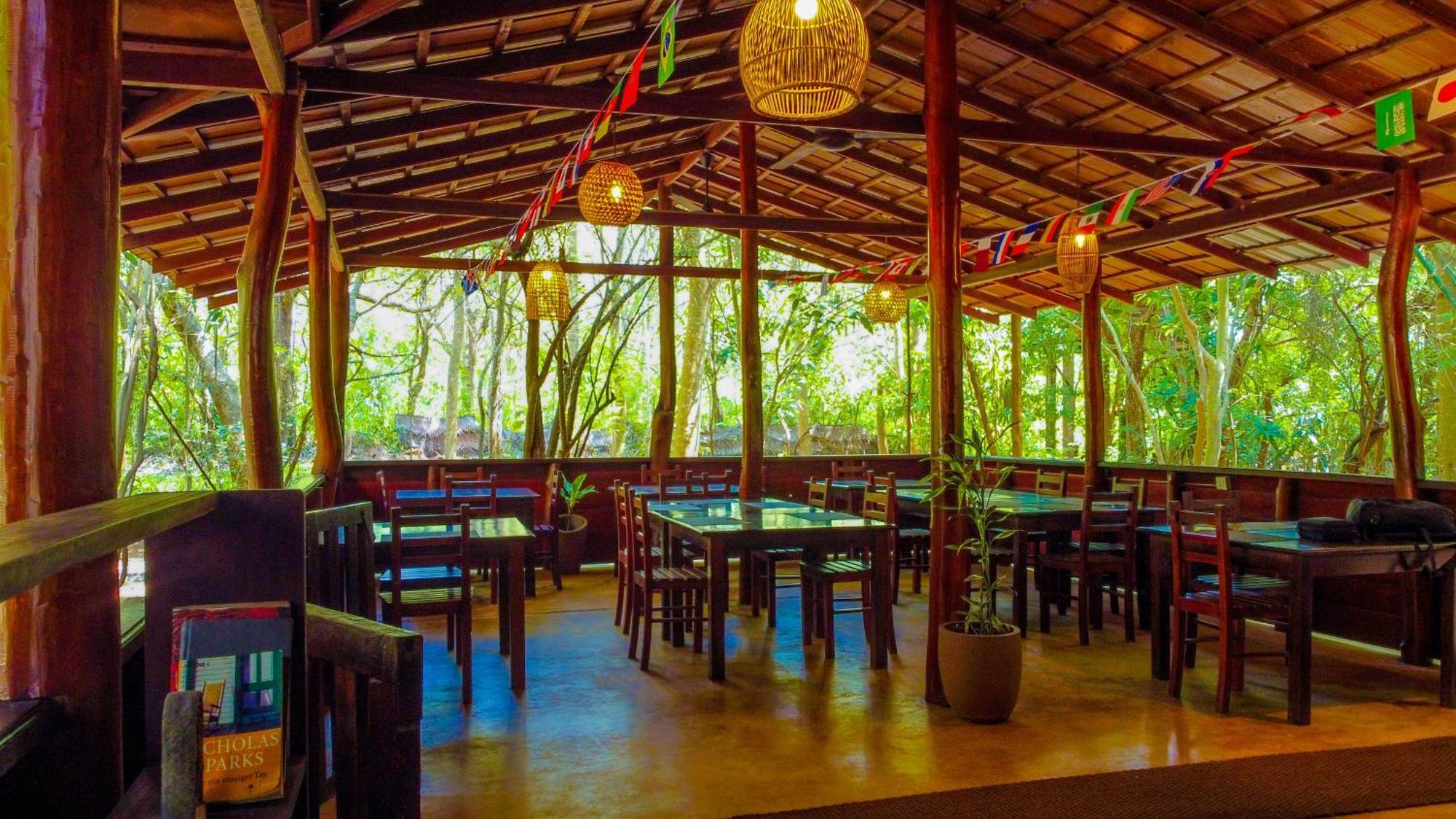 Jungle Host And Tree House Hostel
