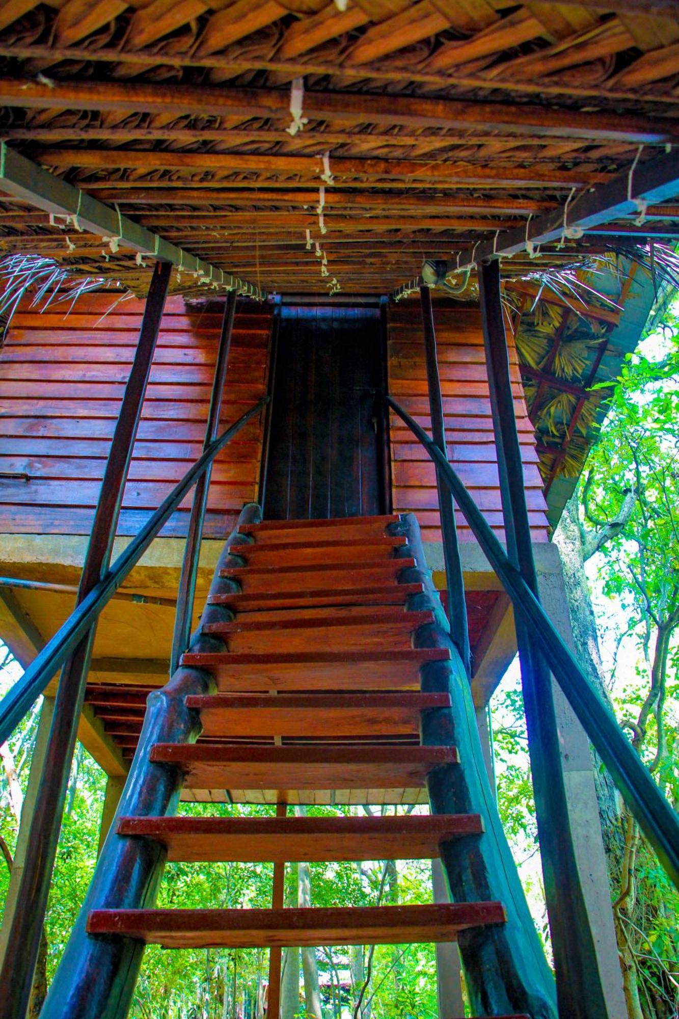 Jungle Host And Tree House Hostel Sigiriya