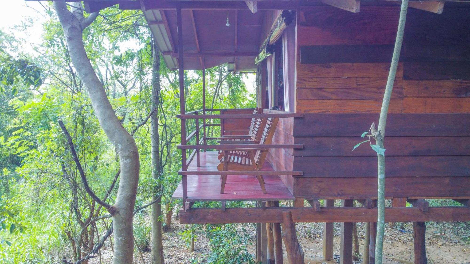 Jungle Host And Tree House Hostel