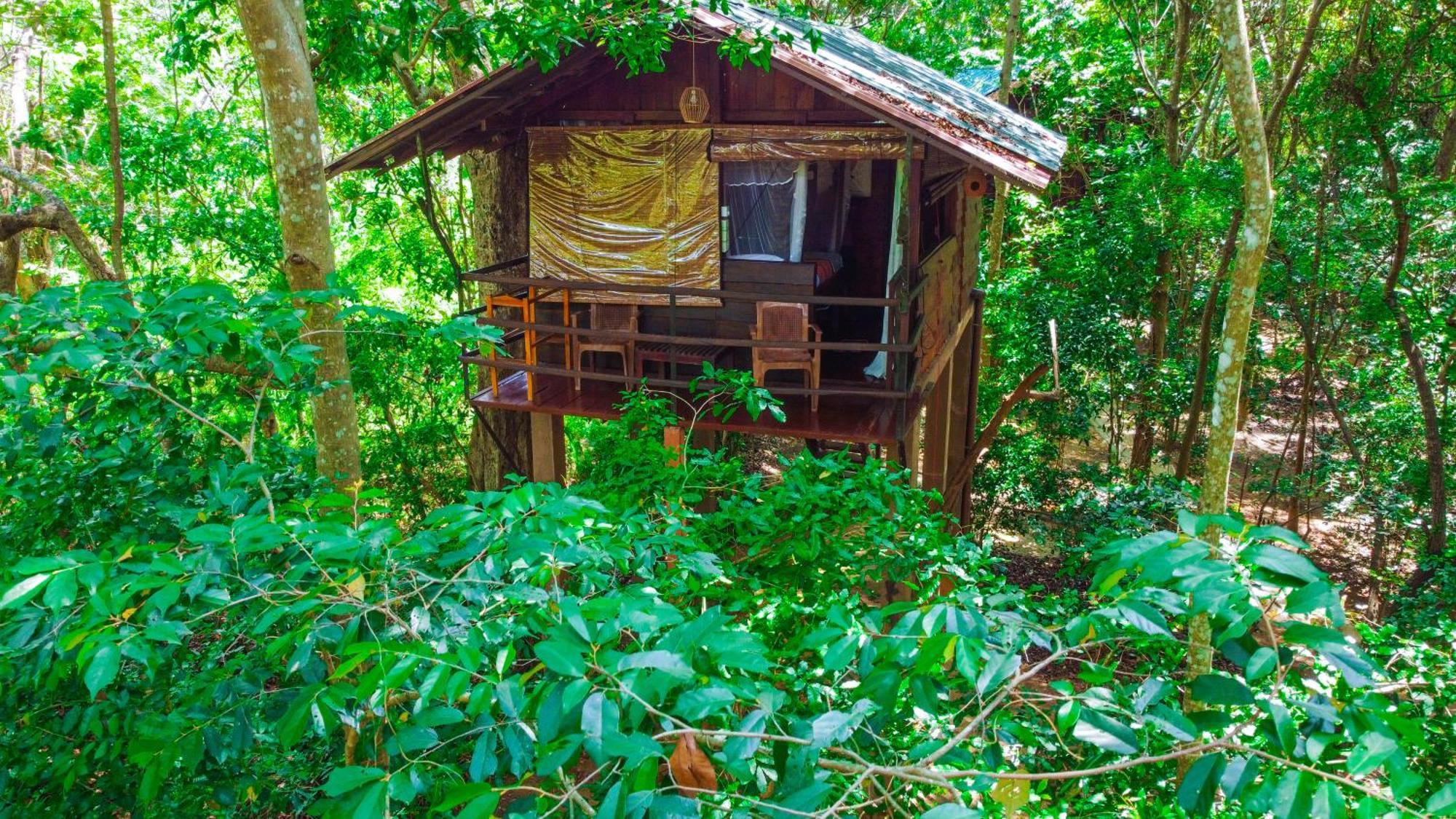 Jungle Host And Tree House Hostel *