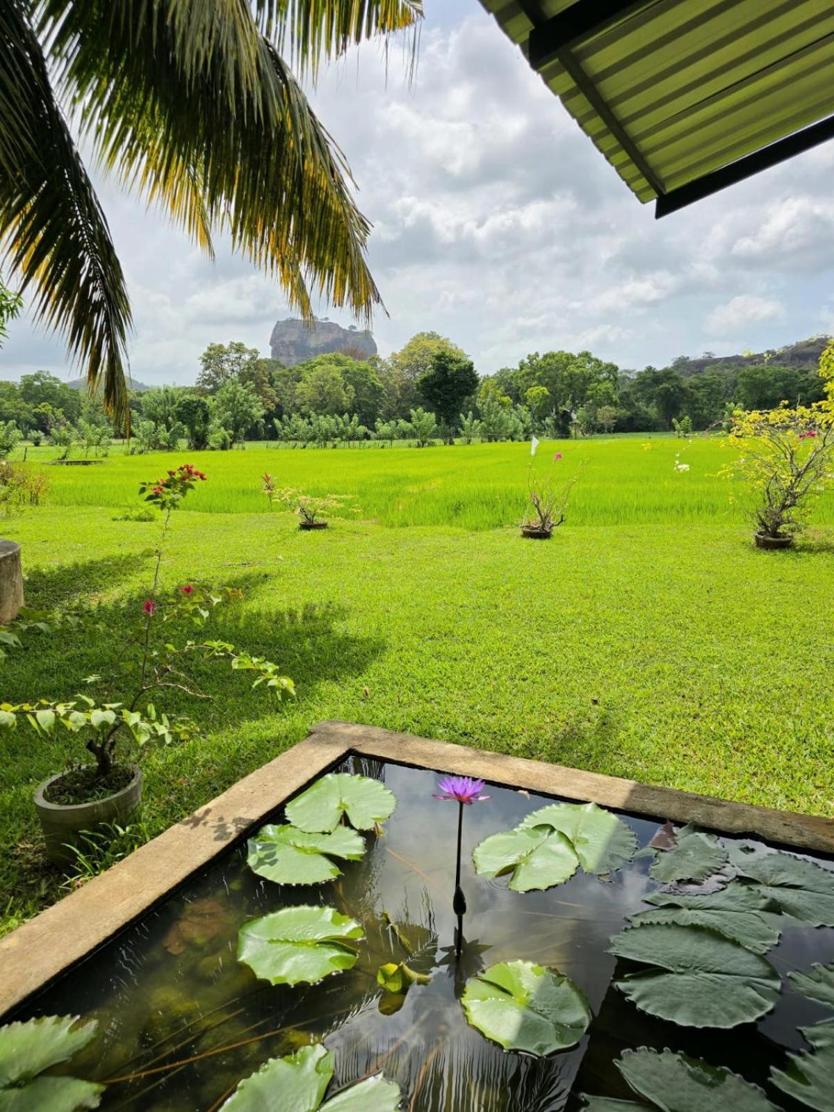 Paradise Guest house *