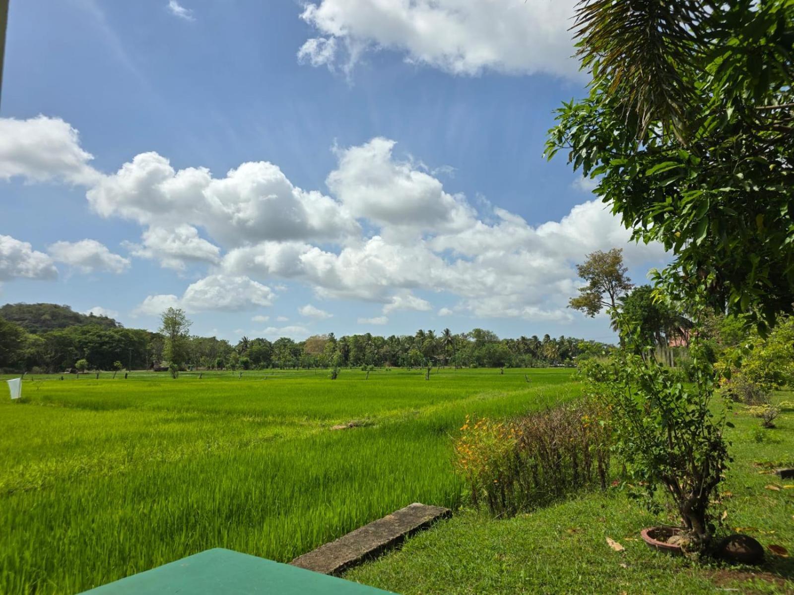 Guest house Paradise *