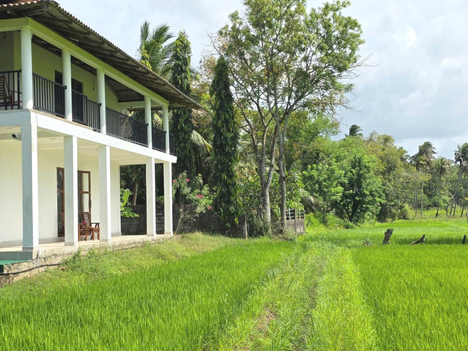Paradise Guest house